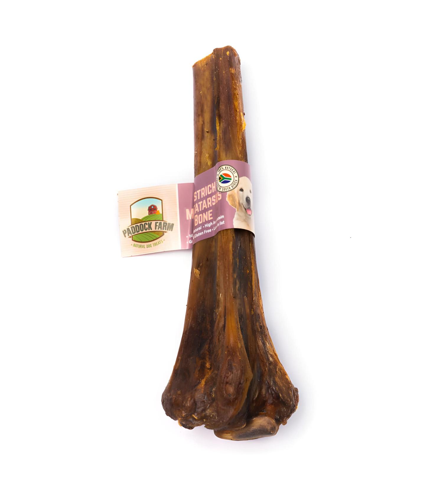 Paddock Farm Perfectly Pawsome Antos Ostrich Metatarsus Bone For Dogs