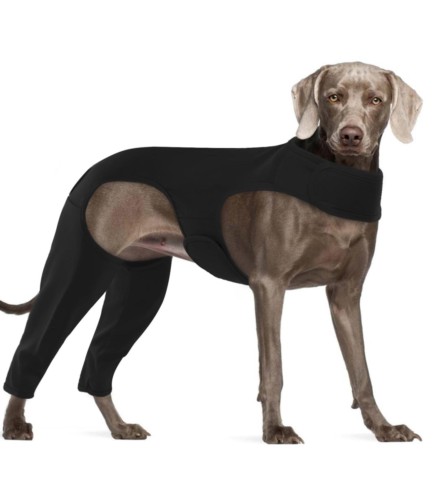 Buy HJYOKUSO Recovery Suit for Dogs - Surgery Suit & Hind Leg Protection | XXXL Black - Prevent Licking & Promote Healing - Buy Online on GoSupps.com