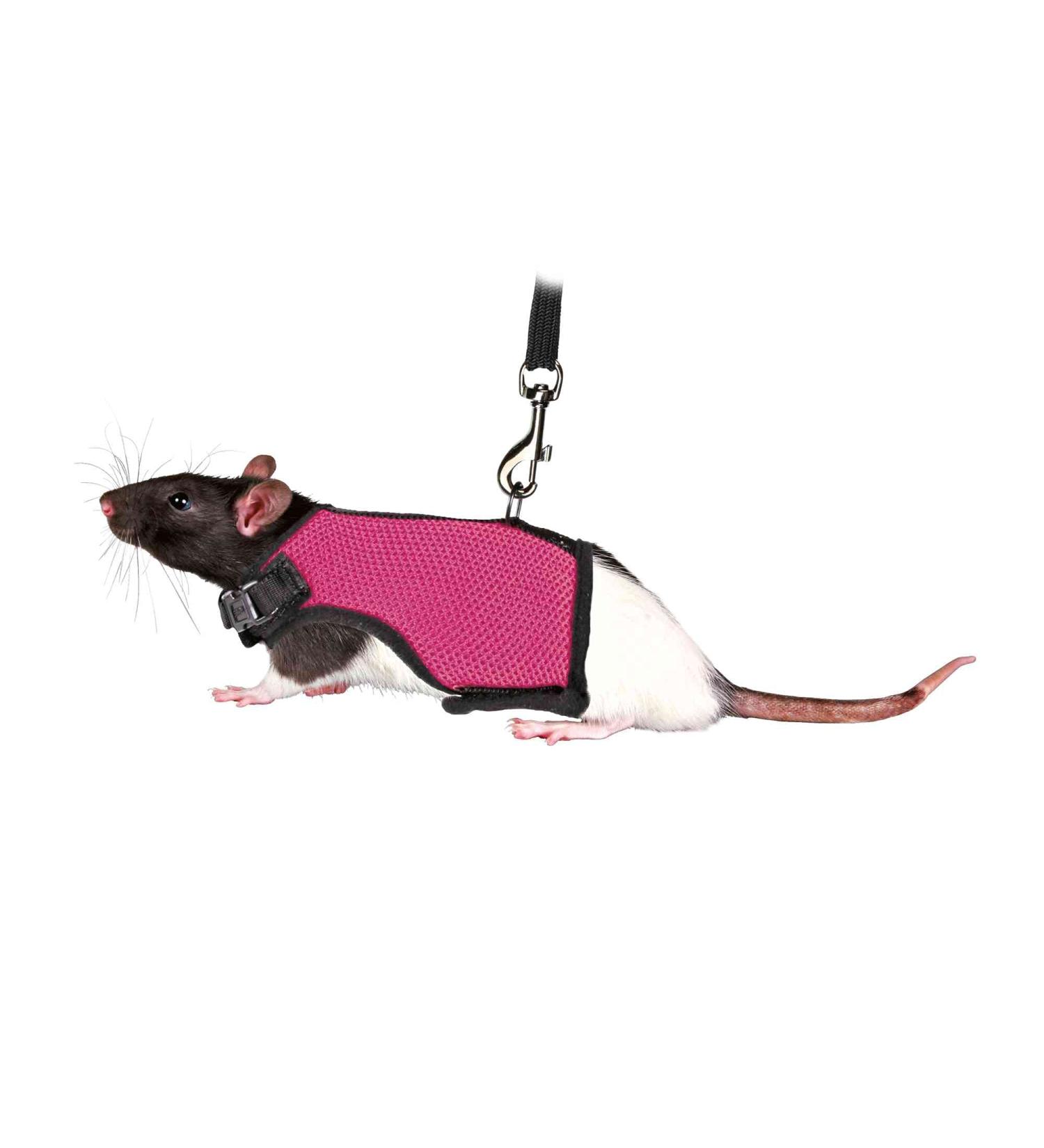 Trixie 61511 Small Animal Harness for Rats - Nylon, Assorted Colors - 9-12 cm/12-18 cm - Buy Online on GoSupps.com