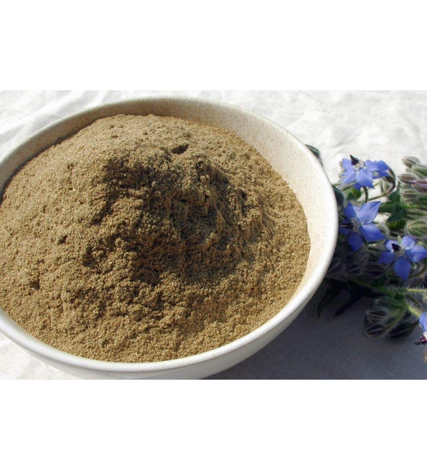 Krauterino24 Krauterino24 - Ground Borage Grass Quantity: 50g