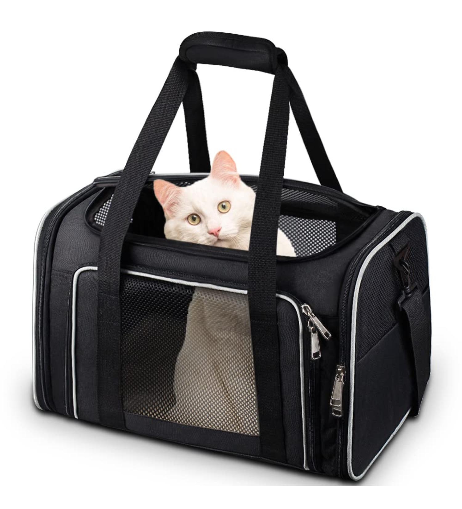 Comsmart Airline Approved Cat Carrier Bag for Small Medium Pets | Collapsible & Lightweight | 15 lbs Capacity | Ideal for Cats, Dogs, Puppies, Kittens | Black - Buy Online on GoSupps.com