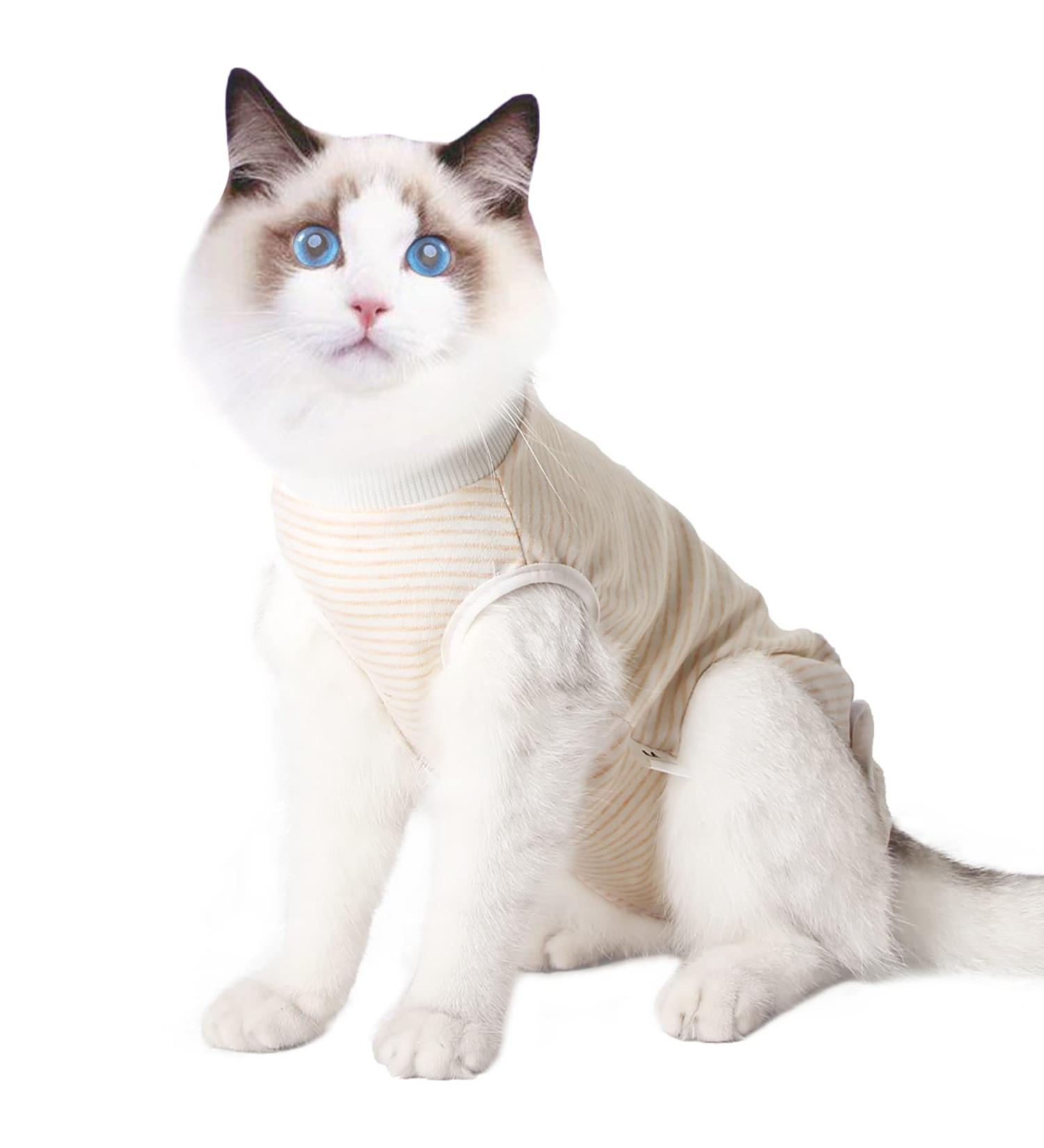Cat Professional Recovery Suit - Surgical Recovery Shirt for Belly Wounds - Soft Medical Clothing for Cats - Cone Alternative - Orange M (1 Pack) - Buy Online on GoSupps.com