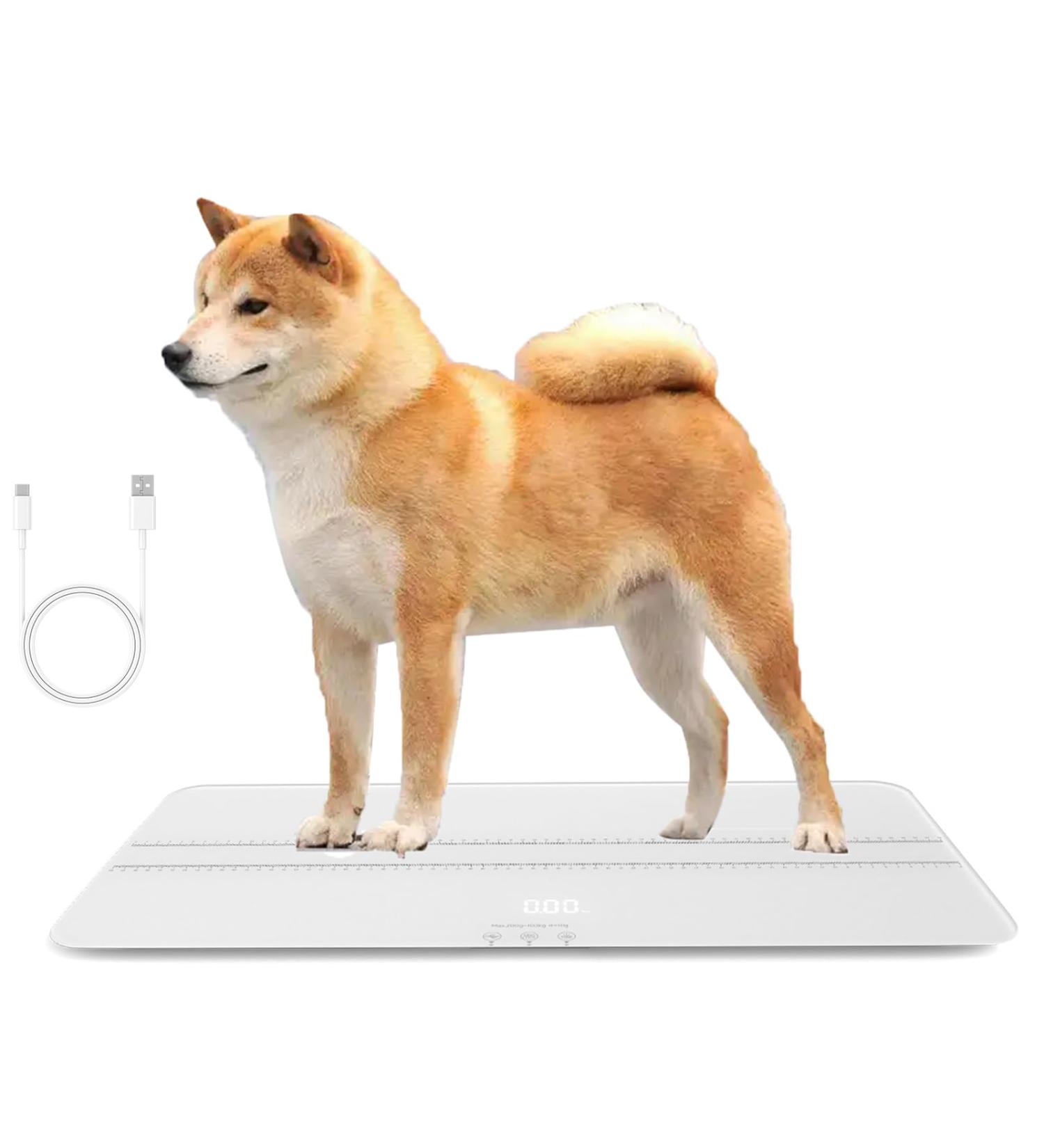 Digital Dog Scale Load Version Pet Platform 3 Weighing Modes kg kg Maximum Weight 100 - Buy Online on GoSupps.com