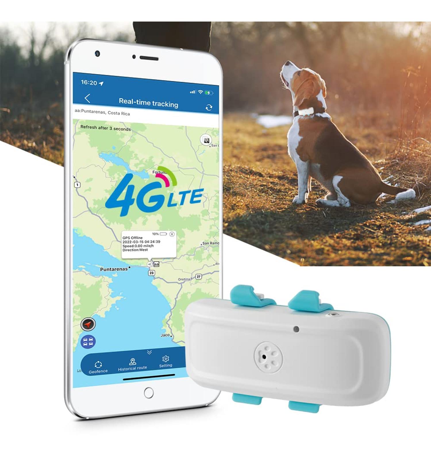 4G LTE Dog GPS Tracker | 700mA Standby | 7 Days Battery | Mini Dog Collar Tracker | TK4G-911pro - Buy Online on GoSupps.com