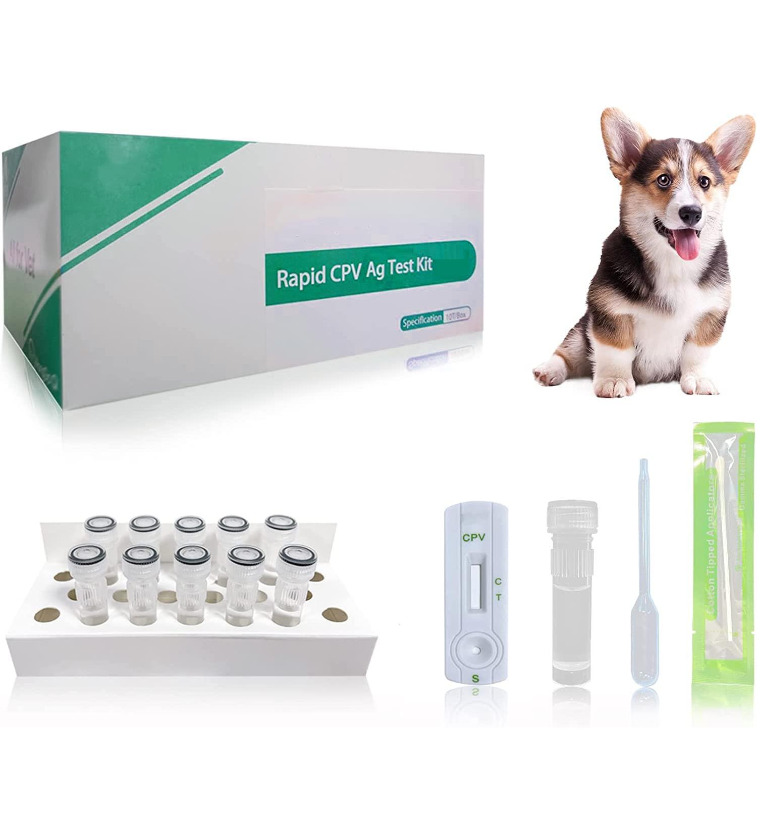 Yanzeo 10 Tests Canine Parvovirus Test Kit - CPV Rapid Home Test for Dogs | Veterinary Clinics | 10-Pack - Buy Online on GoSupps.com