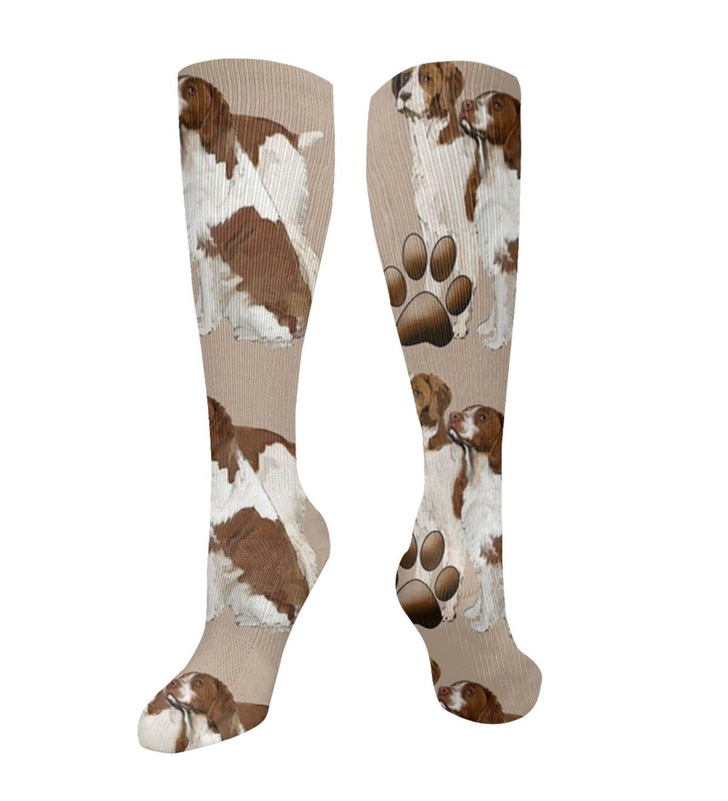 Brittany Spaniel Liver-Colored Compression Socks 15-20 mmHg | Best Support for Running & Cycling - Unisex - Buy Online on GoSupps.com