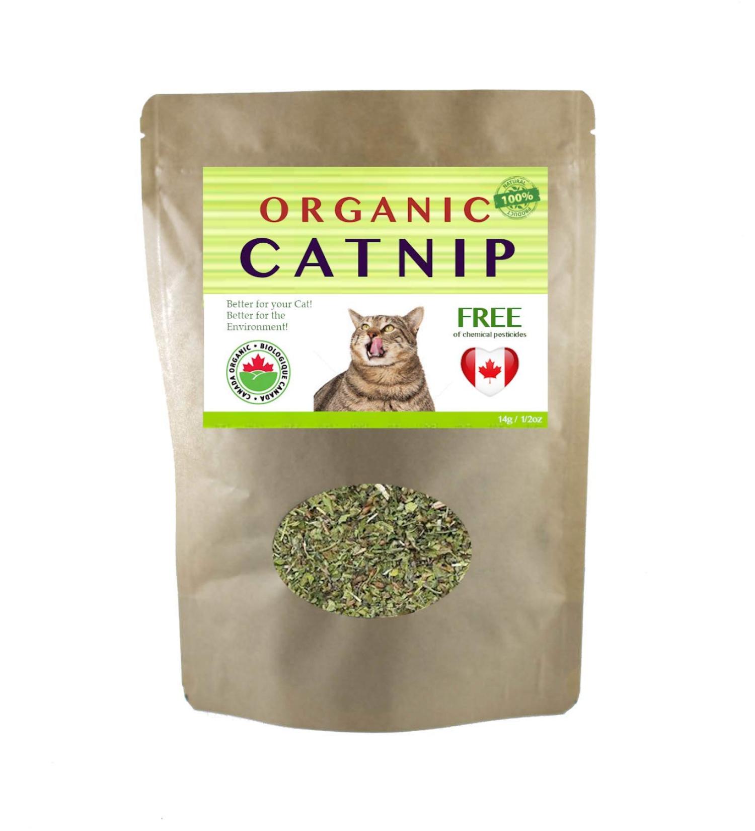 Catnip Organic Premium Blend | Fresh and Dried Safe for Cats | Natural Cat Treat Better for The Environment Better for Your Cat | Buddy Bits Made in Canada (Medium Size Bag) - Buy Online on GoSupps.com