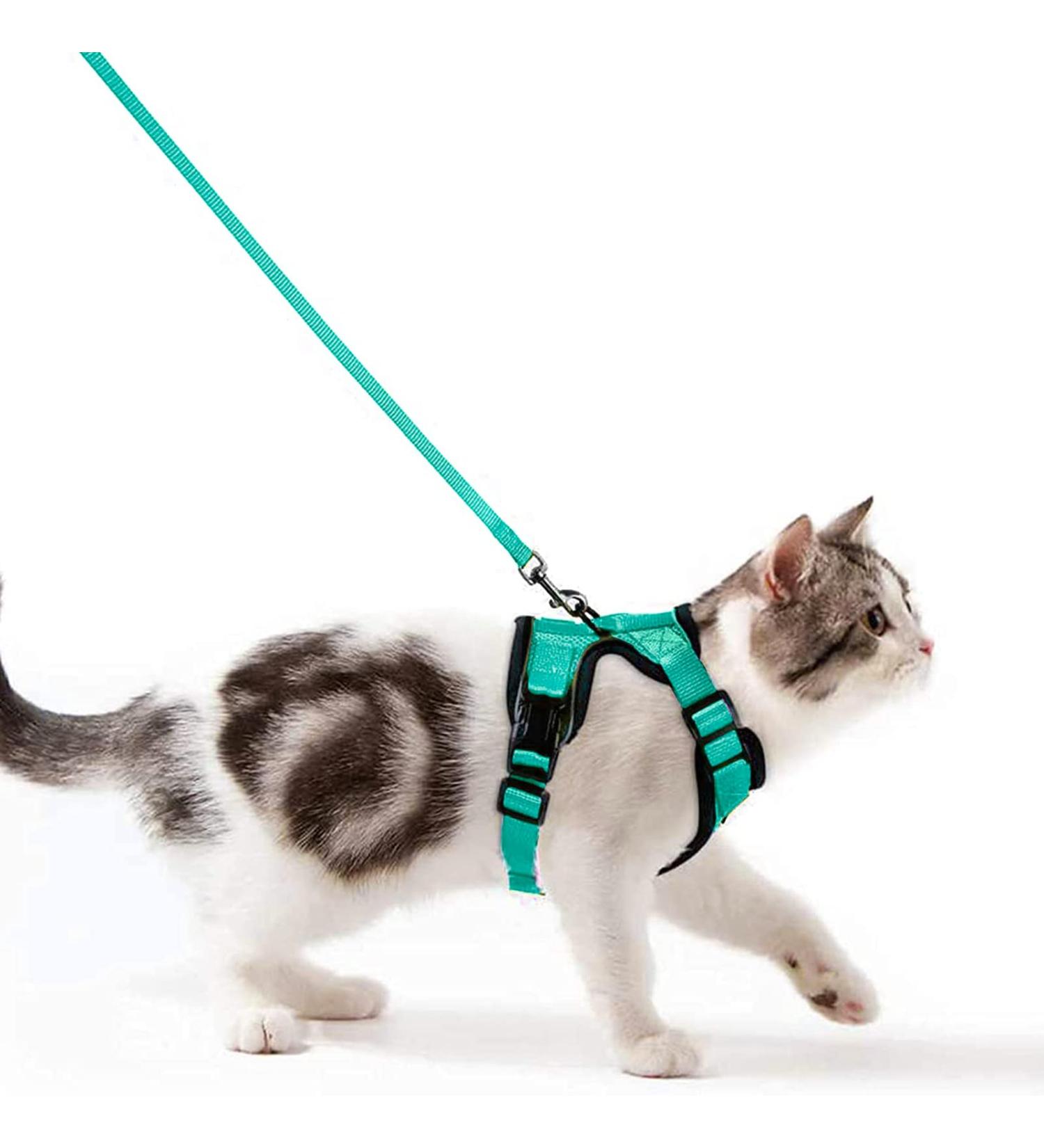 Breakproof Cat Dishes with Adjustable Vest Set for Small Kittens - Reflective Stripes - Green XXS - Buy Online on GoSupps.com