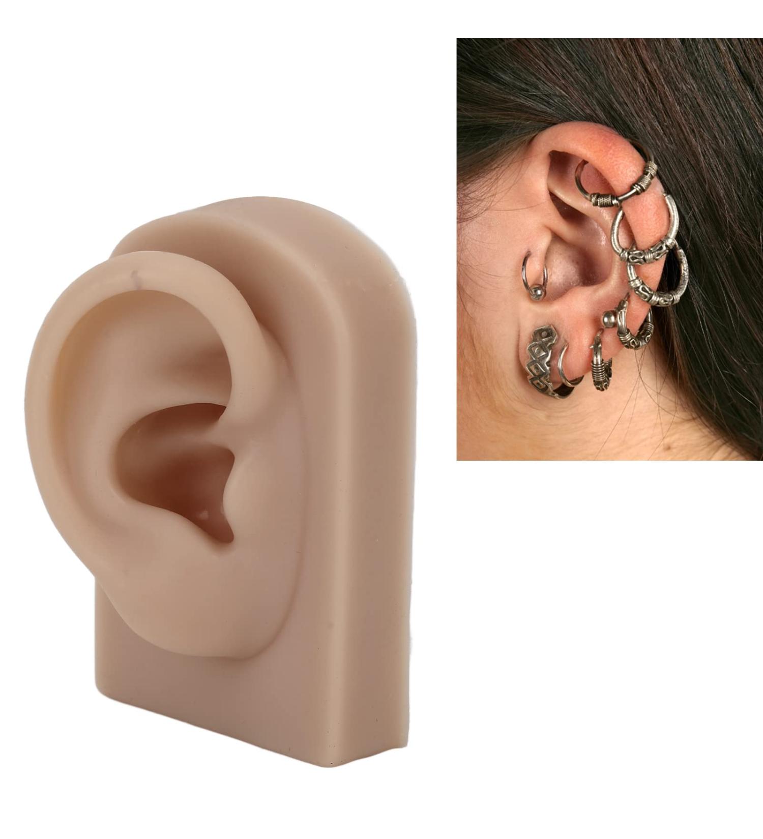 Human Silicone Ear Model for Training and Display - Soft & Reusable | Brown Acupuncture & Earrings Display - Buy Online on GoSupps.com