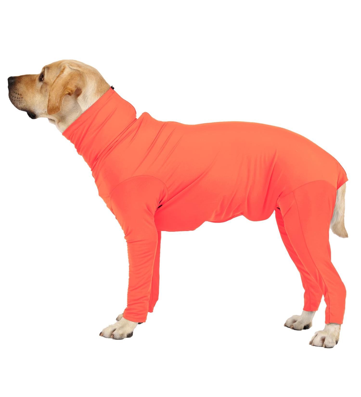 Etdane One-Divider for Dogs | Surgical Recovery Suit for Pets | Anti-Hair Loss | Long-Sleeved & Legged | Orange Size M | International Shipping - Buy Online on GoSupps.com