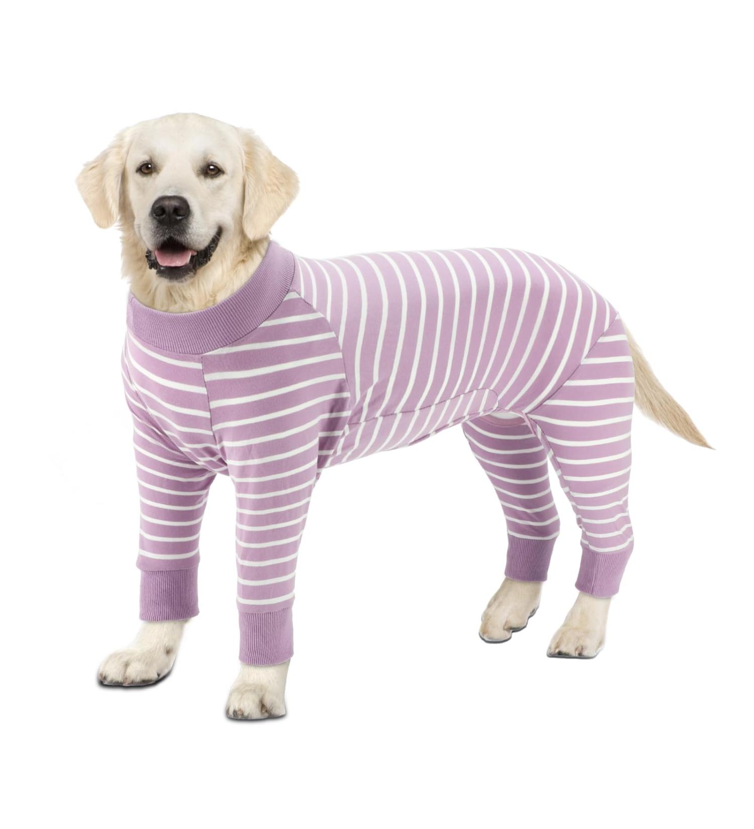 Ranypet One-Divider for Dogs | Surgical Recovery Pajamas for Large & Medium Dogs | Wound Protection & Anti-Lick Suit | 7XL Purple - Buy Online on GoSupps.com