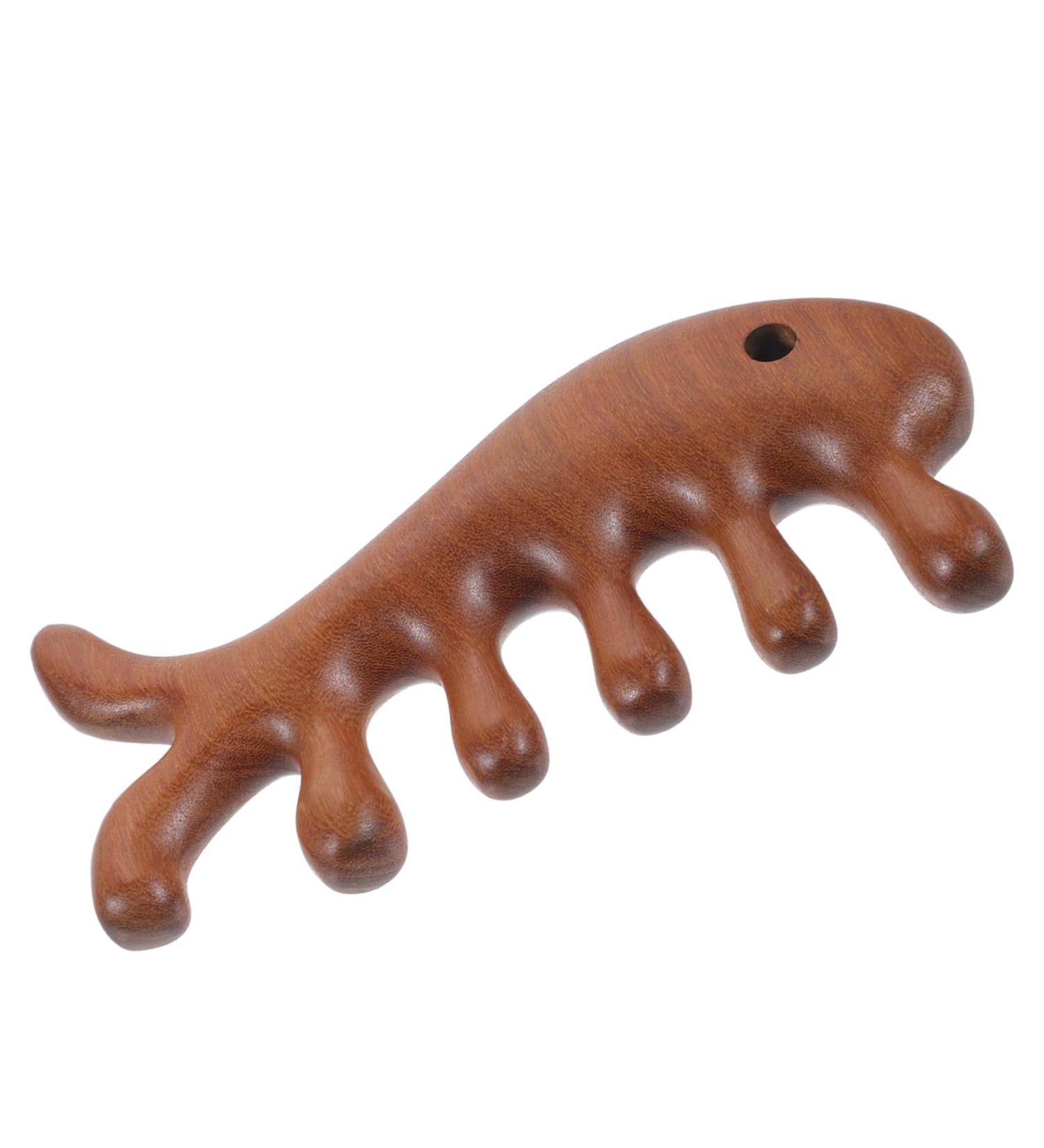 Minkissy Fish-Shaped Gua Sha Massage Tool & Portable Wooden Comb Multifunctional Jade Facial & Hair Care Tool - Buy Online on GoSupps.com