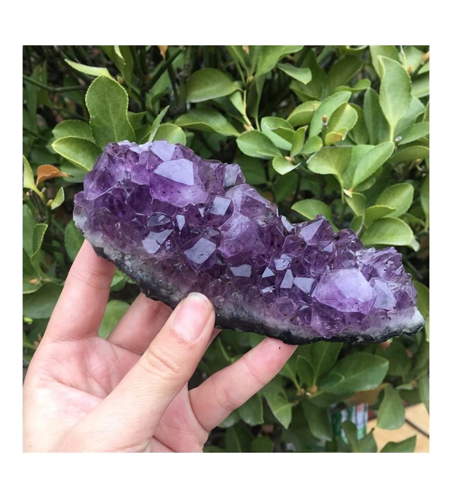 Natural Dream Amethyst Quartz Crystal Cluster Specimen - Buy Online on GoSupps.com