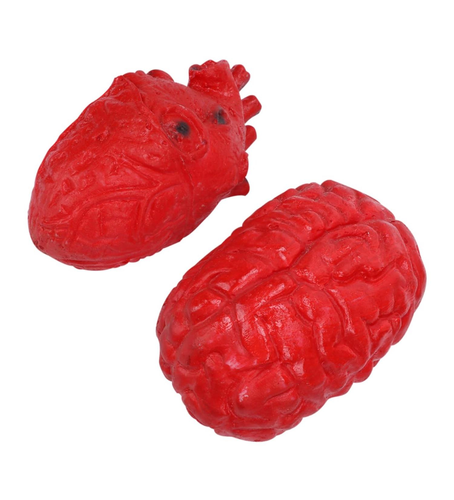 DIKACA Halloween Theme 2 Pcs Simulated Organ Lunch Box Halloween Body Parts Scary Body Parts Halloween Organs Prop Halloween Horror Decor Fake Body Parts Fake Heart Plastic Emulator - Buy Online on GoSupps.com