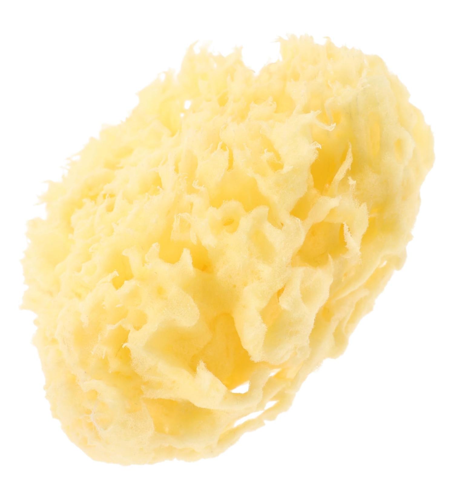 FOMIYES Honeycomb Sea Bath Ball - Back Scrubber & Body Wash Sponge for Ultimate Shower Experience - Buy Online on GoSupps.com