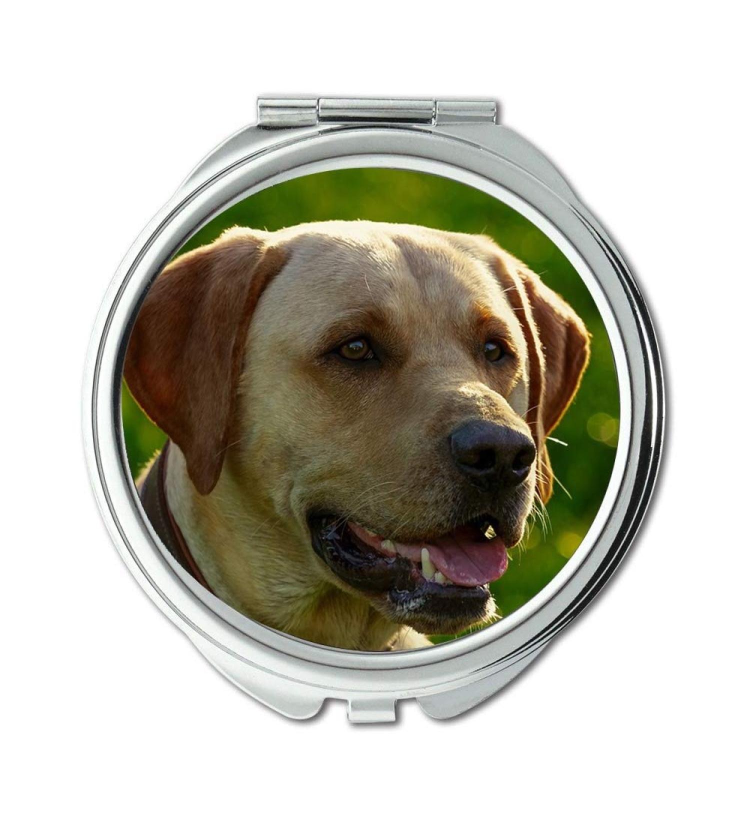 Mirror Travel Mirror Dog Mixed Breed Dog Back Light Labrador Young Dog pocket mirror portable mirror - Buy Online on GoSupps.com