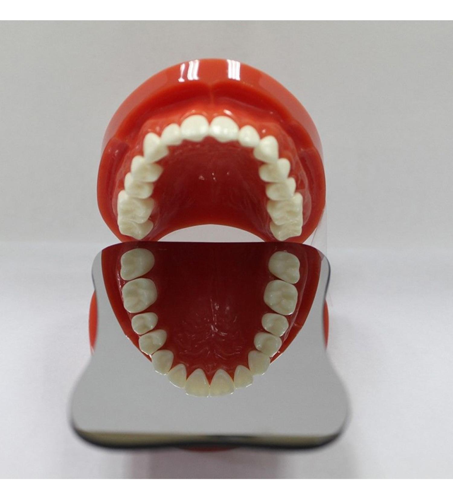 Denshine Dental Intraoral Orthodontic Photo Mirror - 1 Sided | High-Quality Dental Imaging Tool for Professionals - Buy Internationally! - Buy Online on GoSupps.com