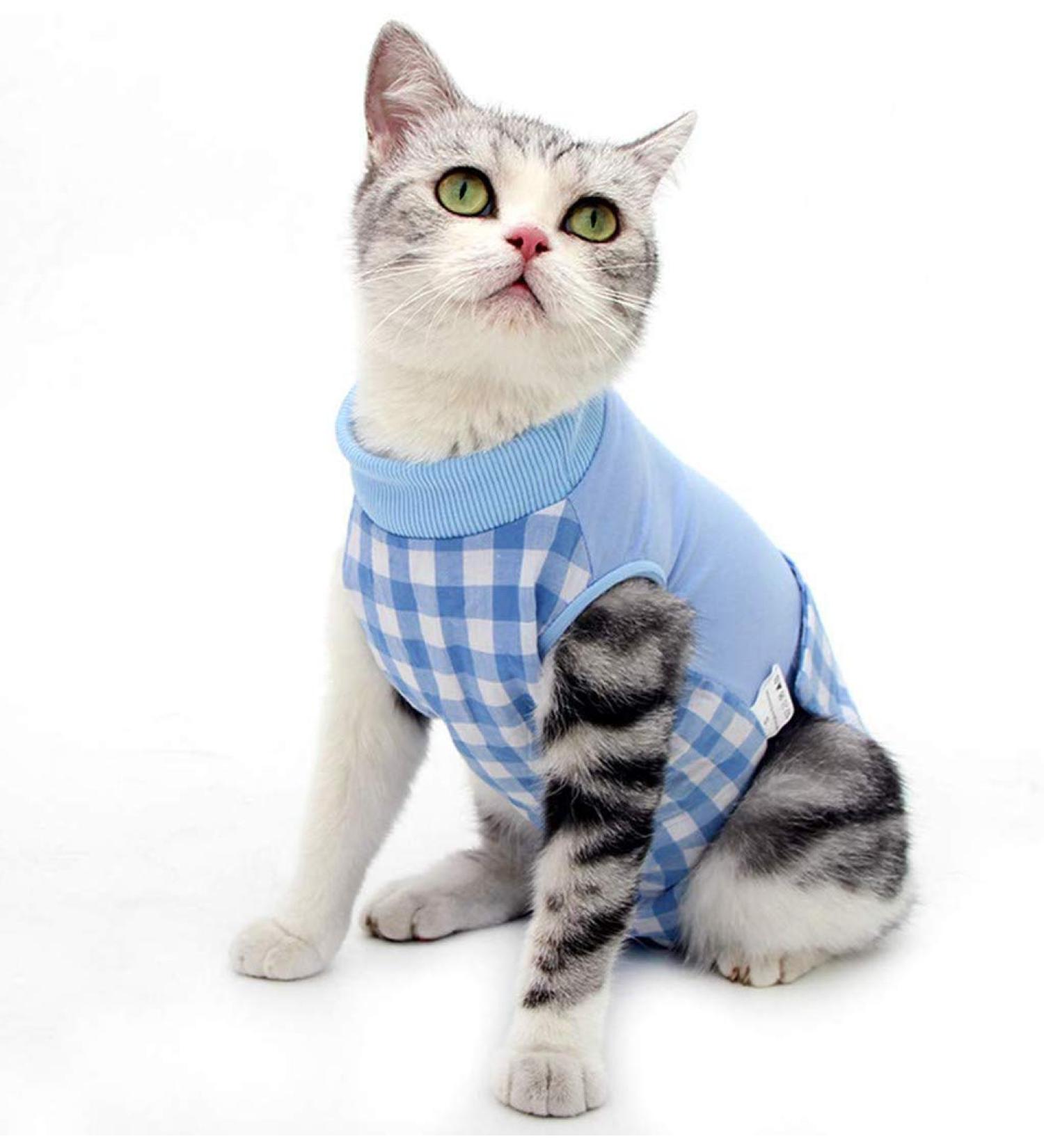 Cat Surgical Recovery Suit L - E-Collar Alternative After Surgery Wear - Blue - Buy Online on GoSupps.com