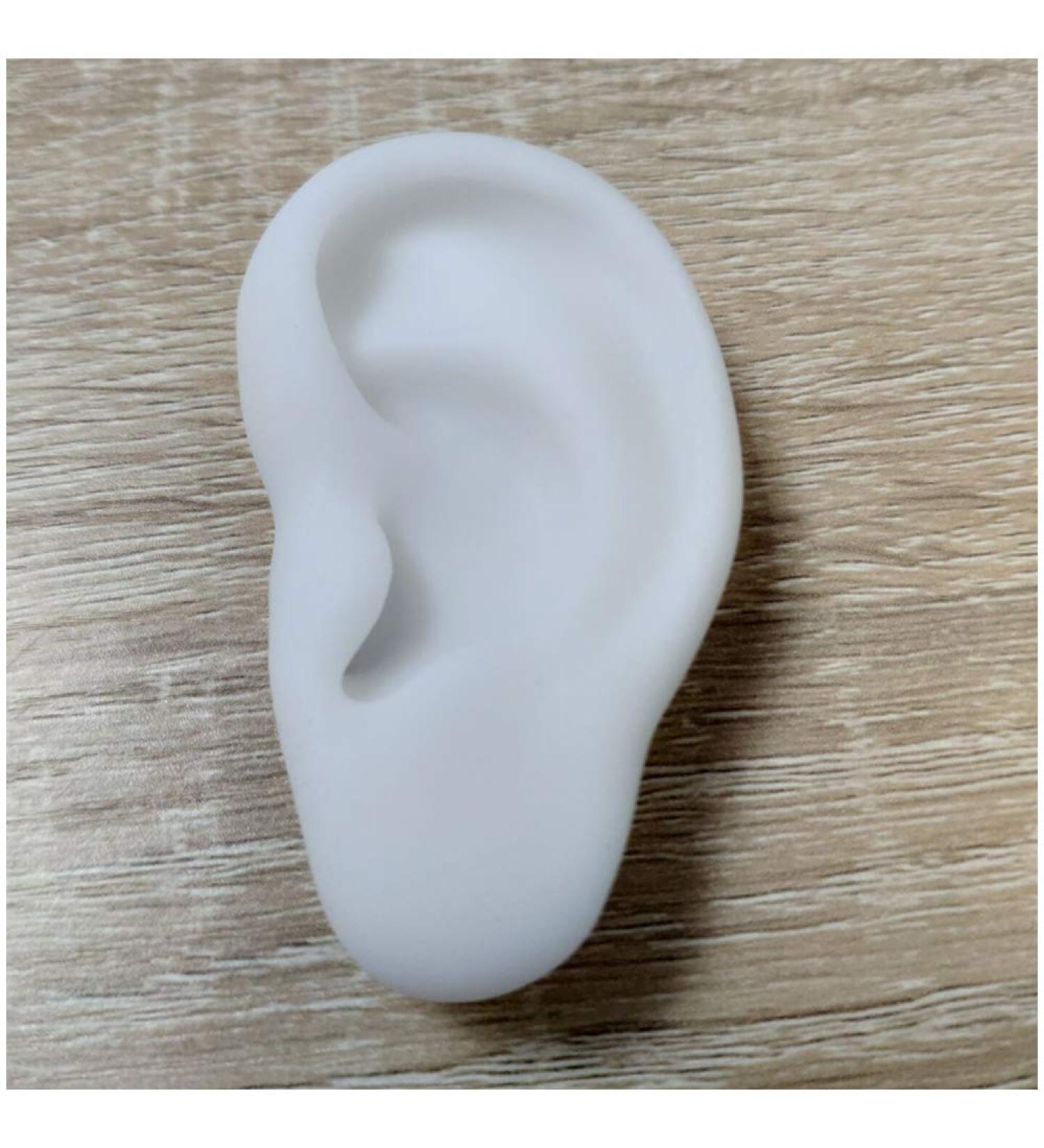 Simulation Ear Model Artificial Simulation Human Ear Model for Acupuncture - Soft Silicone Ear Model for Ear Picking Practice Studs Earring Headset Display Props Left - Buy Online on GoSupps.com