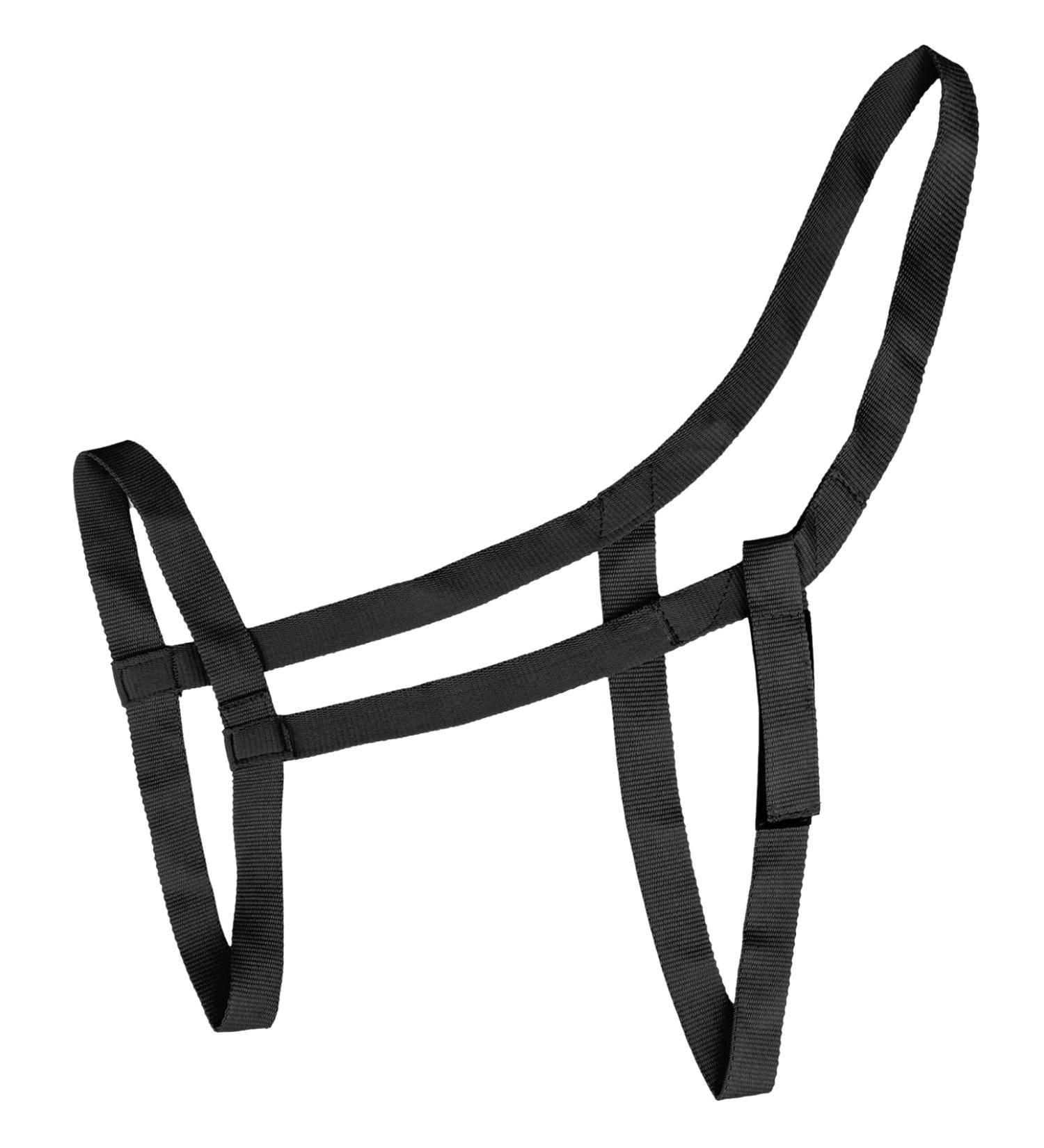 WALDHAUSEN pasture halter thoroughbred black Black VB