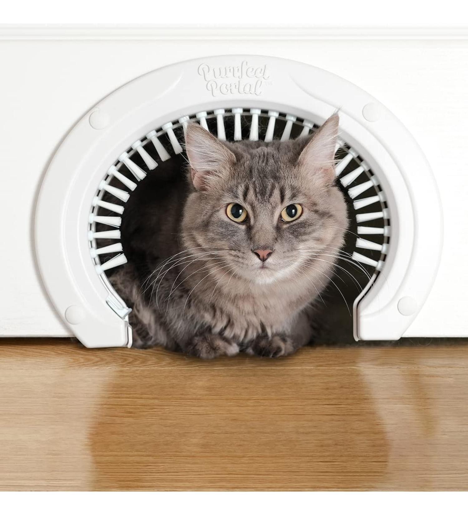 Large Cat Door with Grooming Brush - Easy Install for Adult Cats up to 20 lbs - Buy Online on GoSupps.com