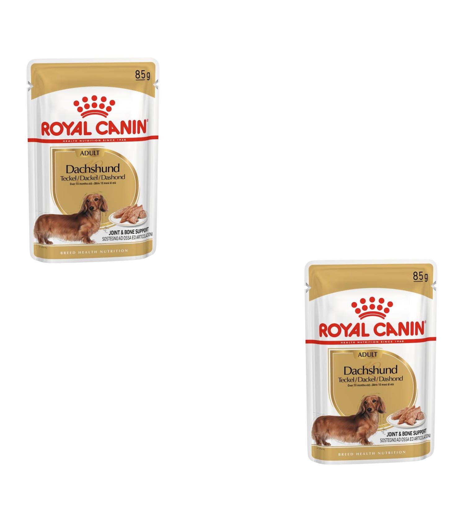 Royal Canin Dachshund Adult Mousse | Double Pack | 2 x 12 x 85 g | Complete Food for Dogs | for Adult Dachshunds | May Help Protect Bones and Joints - Buy Online on GoSupps.com