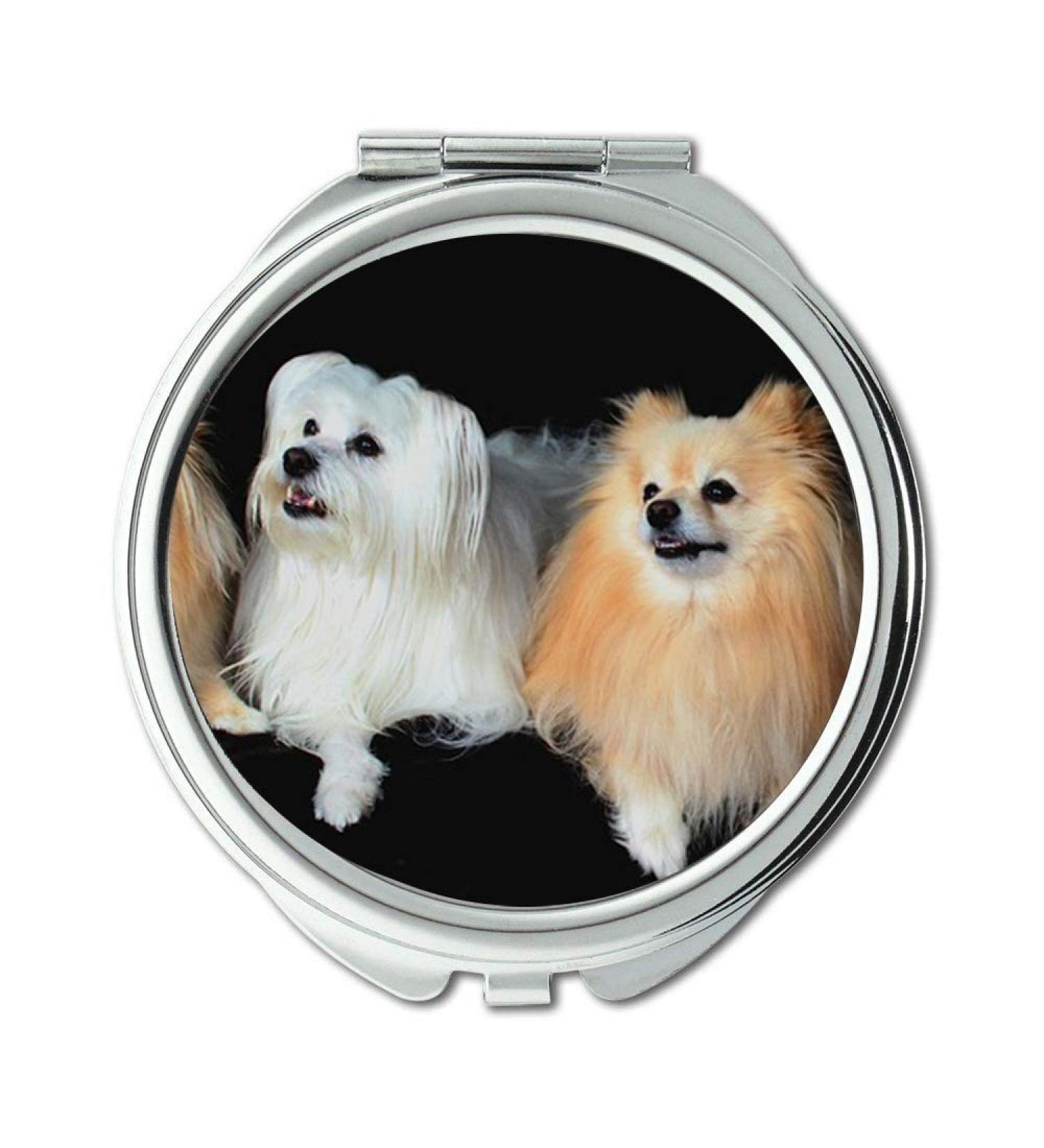Mirror makeup mirror Dogs Pomeranian Maltese Lined Up Attention Good pocket mirror portable mirror - Buy Online on GoSupps.com