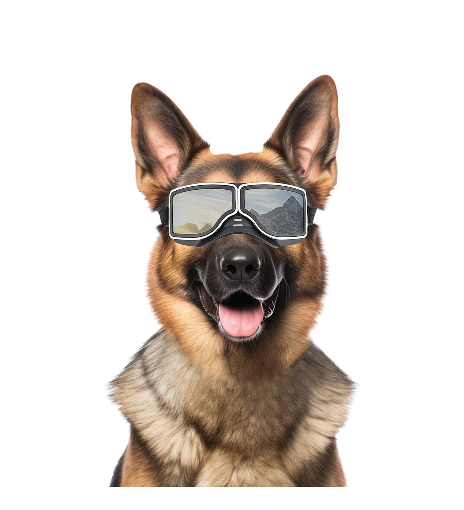 NAMSAN Dog Goggles - UV Protection Windproof & Dustproof Adjustable Strap for Medium to Large Dogs - Silver - Buy Online on GoSupps.com