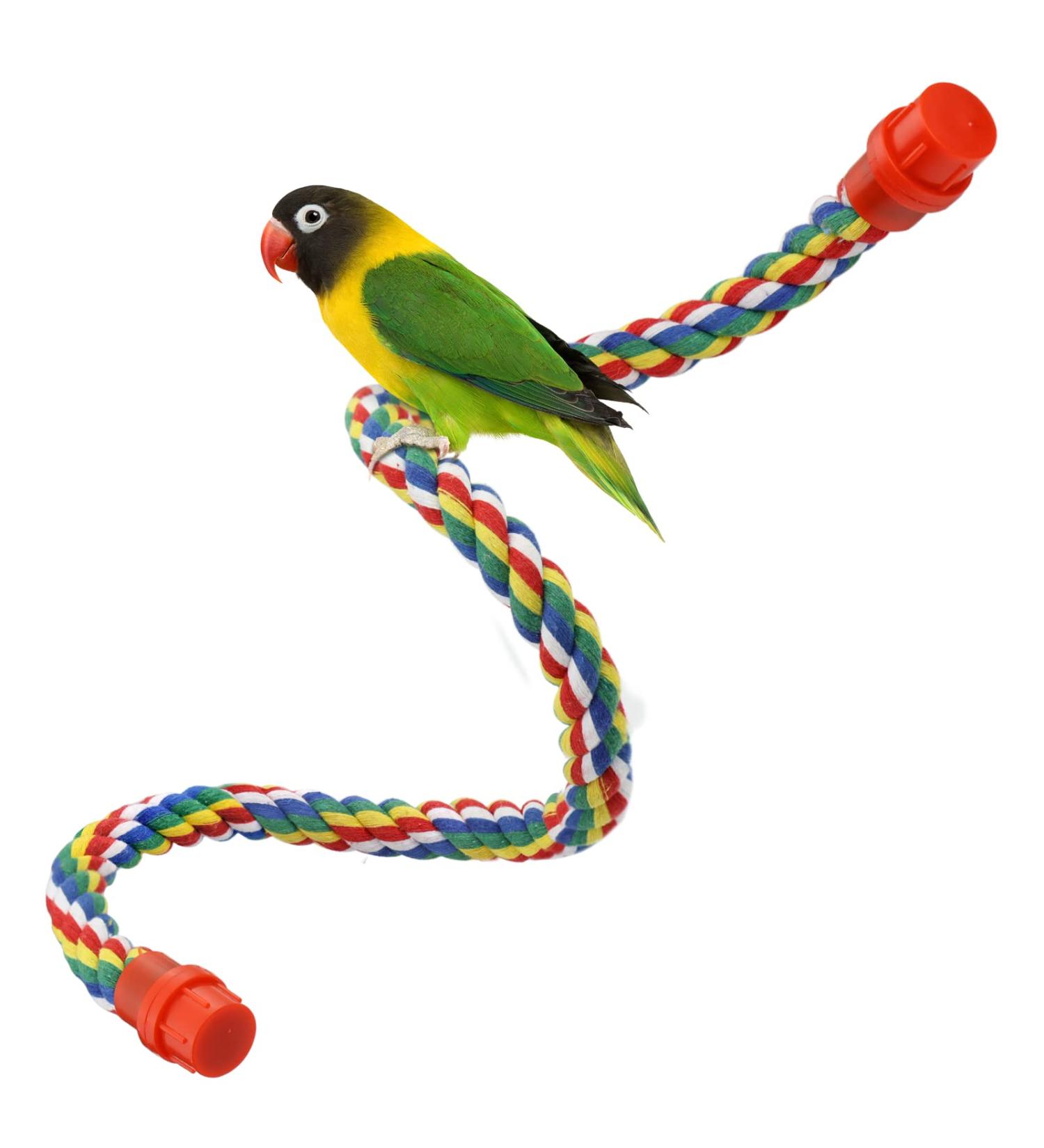 Bird Perch Cage Rope for Parrots Parakeets & Cockatiels | Comfortable & Colorful 80 cm Long with Plastic Nuts - Buy Online on GoSupps.com