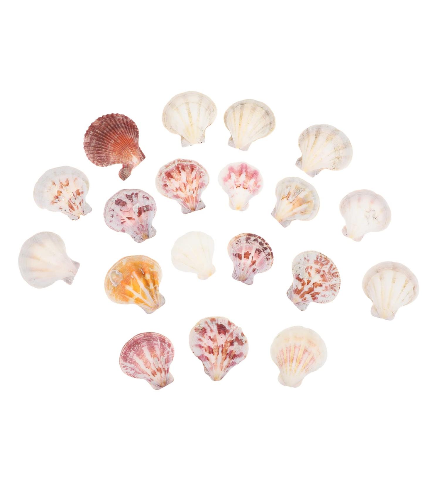 EXCEART Ocean Ornaments Toddler Jewelry- Make Beautiful Vibrant Decorations for The Home Living Room Dining Table. Present Ornaments - Buy Online on GoSupps.com