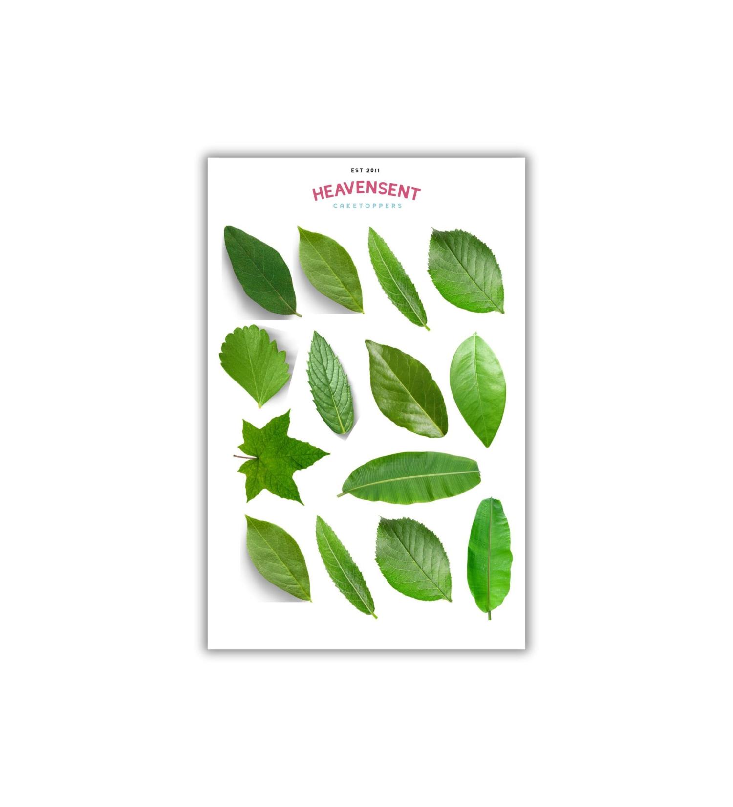 Cake Topper Edible 28 Leaves Flowers Pre-cut Premium Thick Sweet Wafer Card Standing Cupcake Toppers Birthday Party Cake Decorations