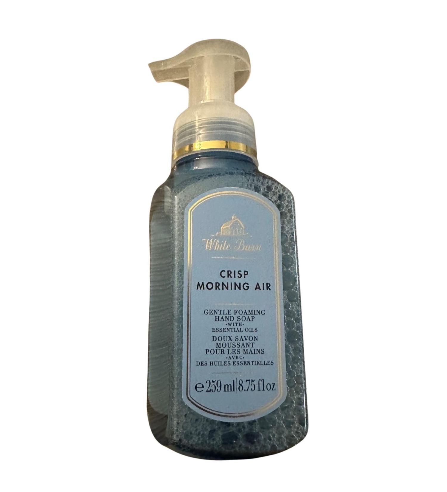 Bath & Body Works Foaming Hand Soap 8.75oz & 259ml (Crisp Morning Air)