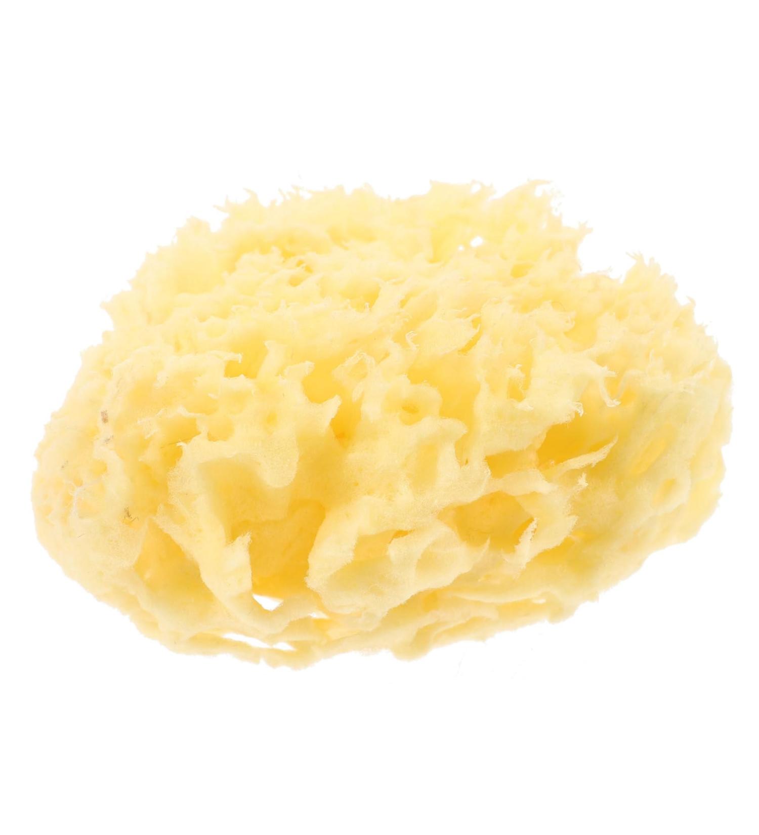 minkissy Moisturizer Bath Sponge Exfoliating Body Sponge Sea Sponge Yellow Sponge Bath Body Sponges for Shower Exfoliating Sea Sponges for Bathing Greece Natural - Buy Online on GoSupps.com