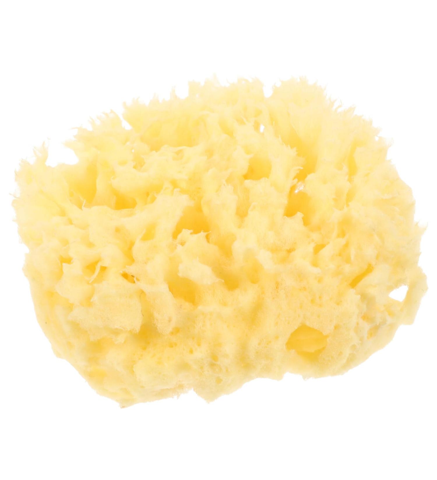 Baluue Natural Bath Sponges Foam Body Sponge Soft Exfoliating Bath Sponge Loofah Shower Sponge Body Scrubber Exfoliating Cleaning Body Sponge for Men Women Kids - Buy Online on GoSupps.com