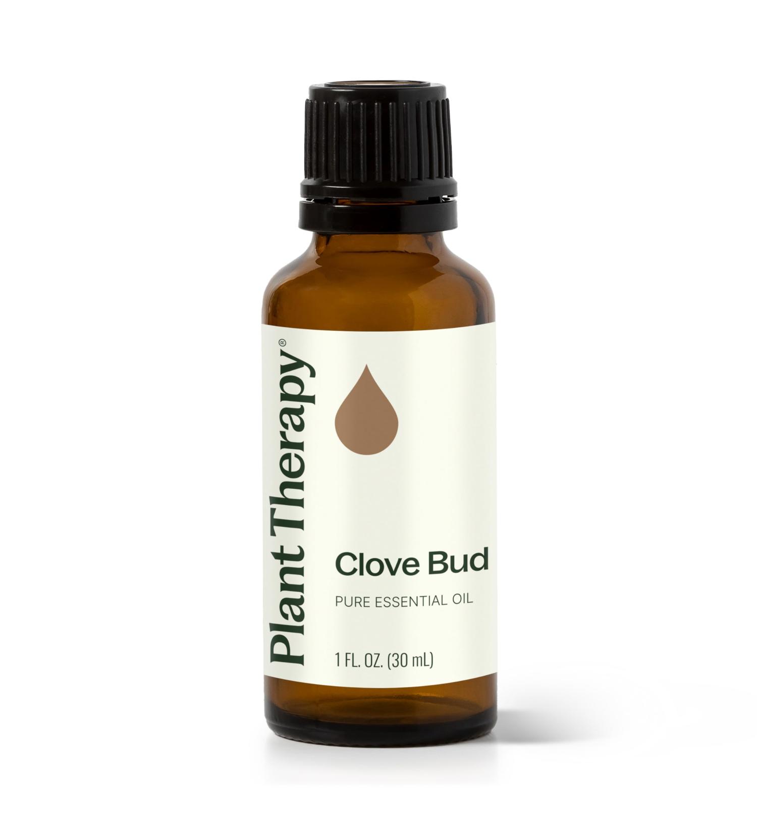 Plant Therapy Clove Bud Essential Oil 30 mL (1 oz) 100% Pure Undiluted Natural Aromatherapy Immune Support Sore Muscle & Joint Relief - Buy Online on GoSupps.com