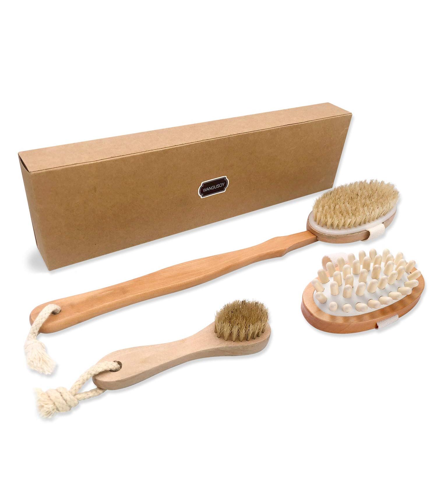 Dry Brush Body Brush Set - Exfoliating & Lymphatic Drainage - Natural Bristles - Long Handle - for Dry Skin - Face, Back, Bath, Fat Massager - Buy Online on GoSupps.com
