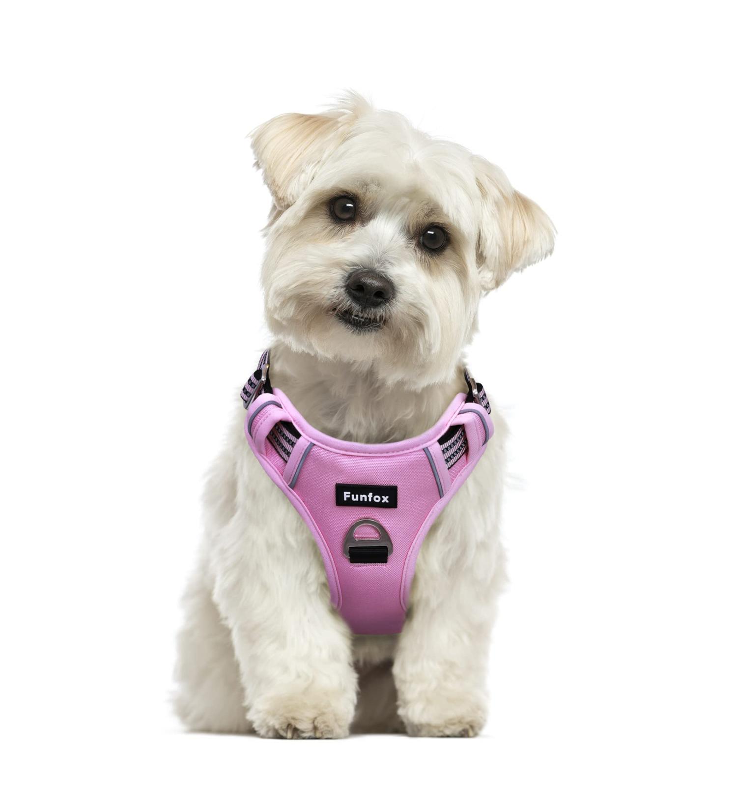 Funfox No Pull Dog Harness for Small Dogs | Adjustable & Breathable Safety Harness | Pink | Perfect for Medium & Small Breeds - Buy Online on GoSupps.com