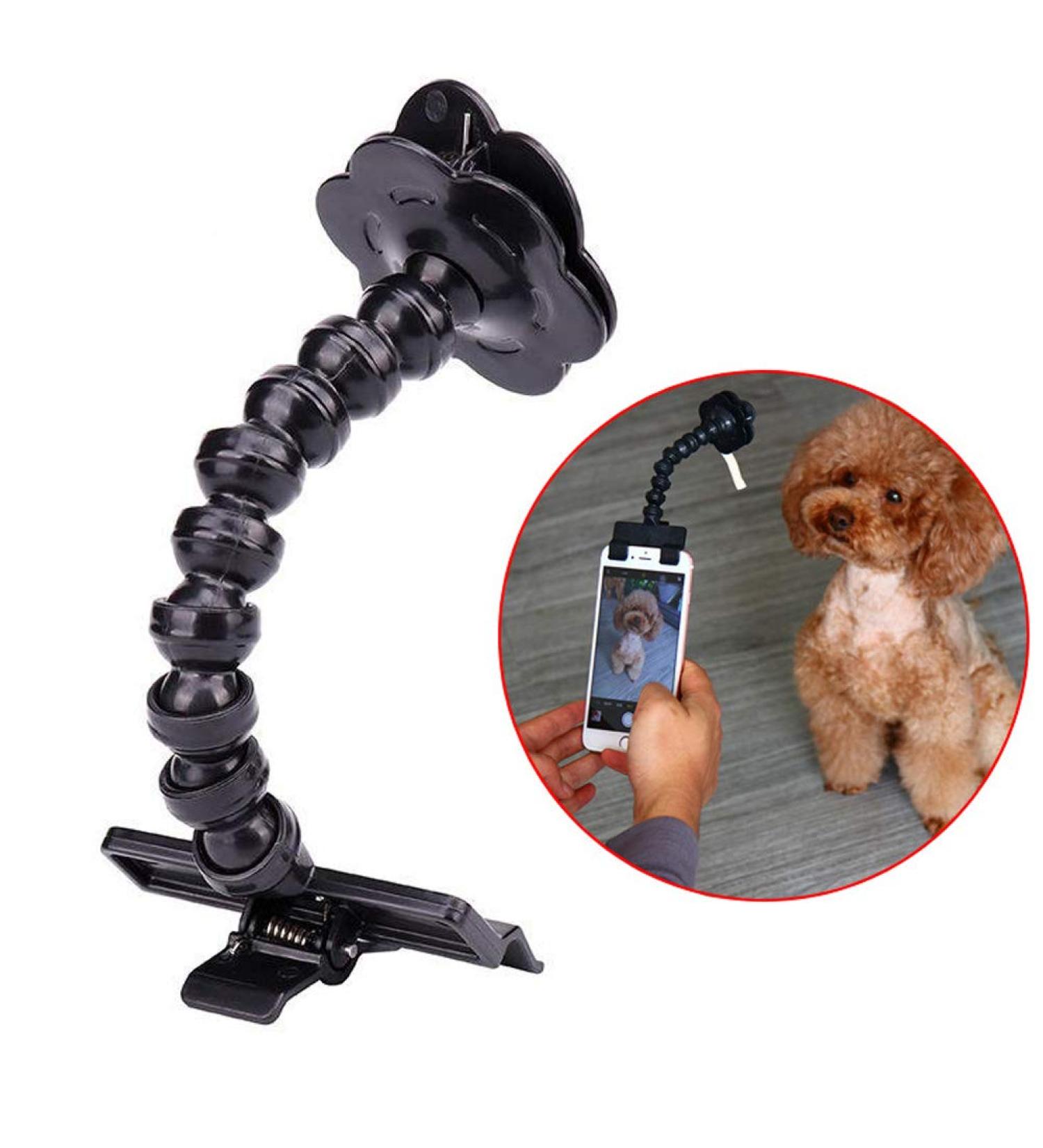 Pet Selfie Stick zosenda Flexible Dog Selfie Stick Rod Cat Photo Toy Accessories Multi-functional Smartphone Attachment Clip Treat Holder Dog Bath Toy (Black) - Buy Online on GoSupps.com