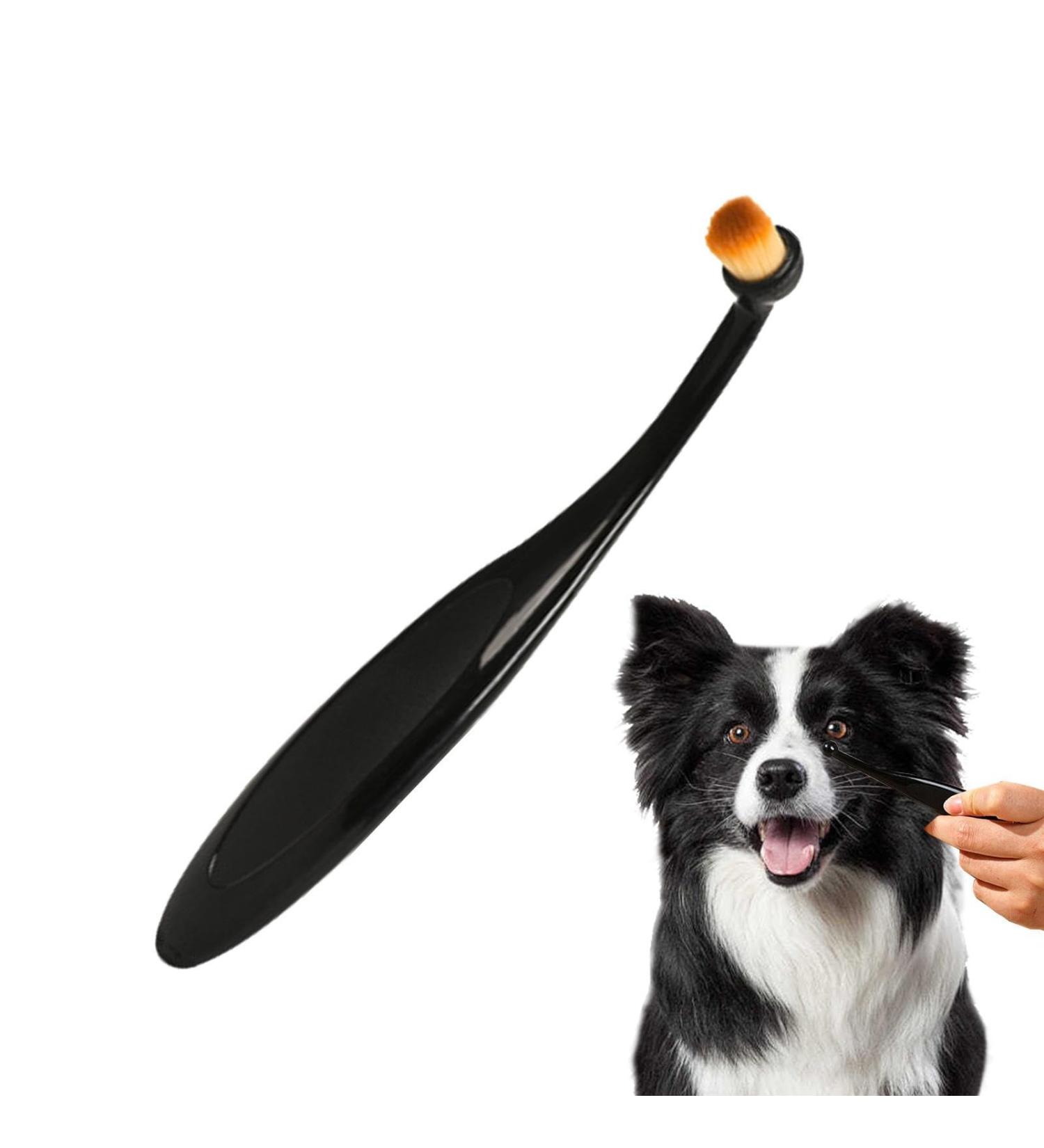Professional Tear Stain Remover Powder & Applicator Brush for Dogs & Cats | Eye Care Comb for Pet Tear Stains - Buy Online on GoSupps.com