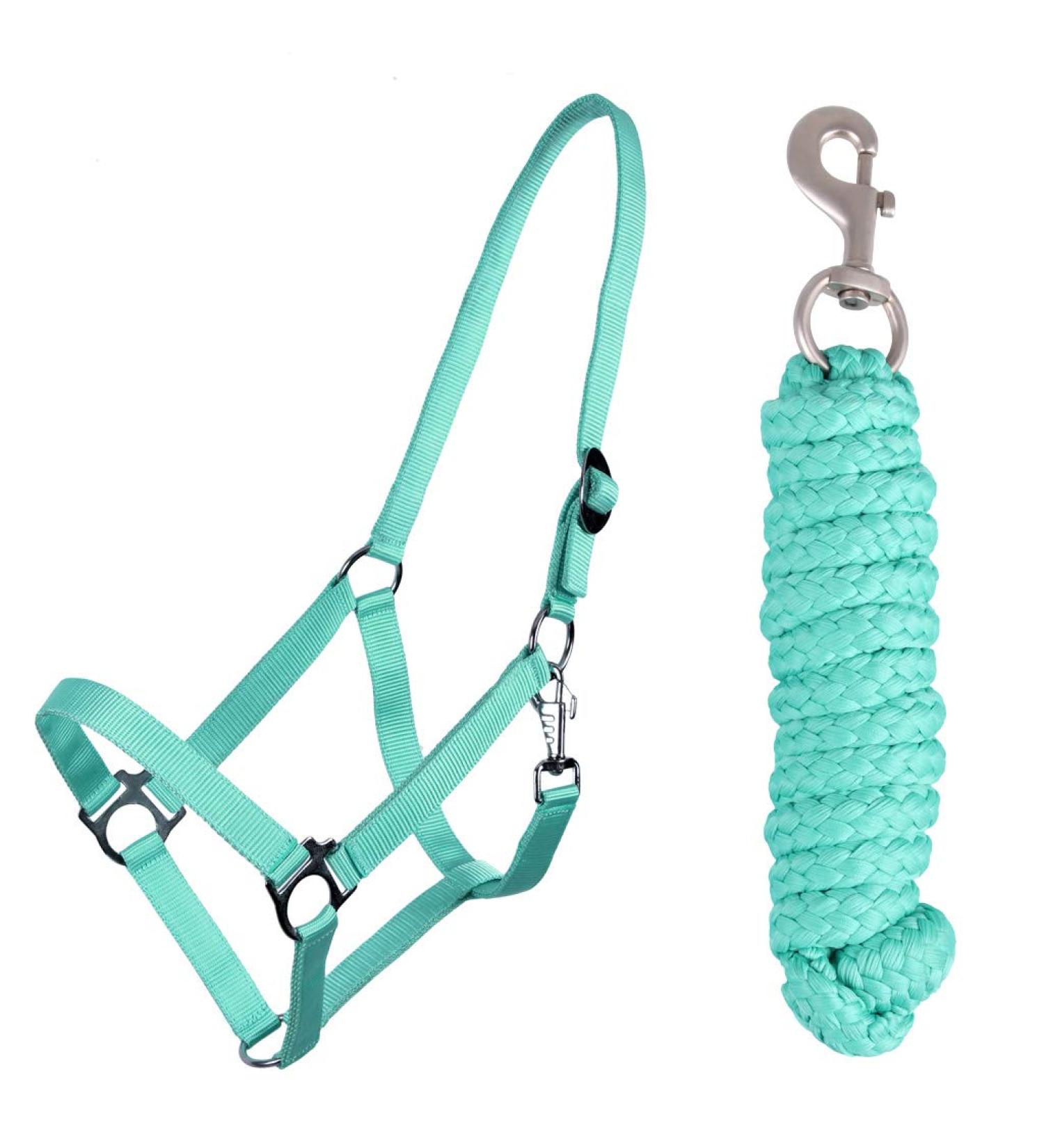 QHP Halter Set Beginner Halter + Lead Rope Heavy Snap Hook (Pony Turquoise) Pony Turquoise