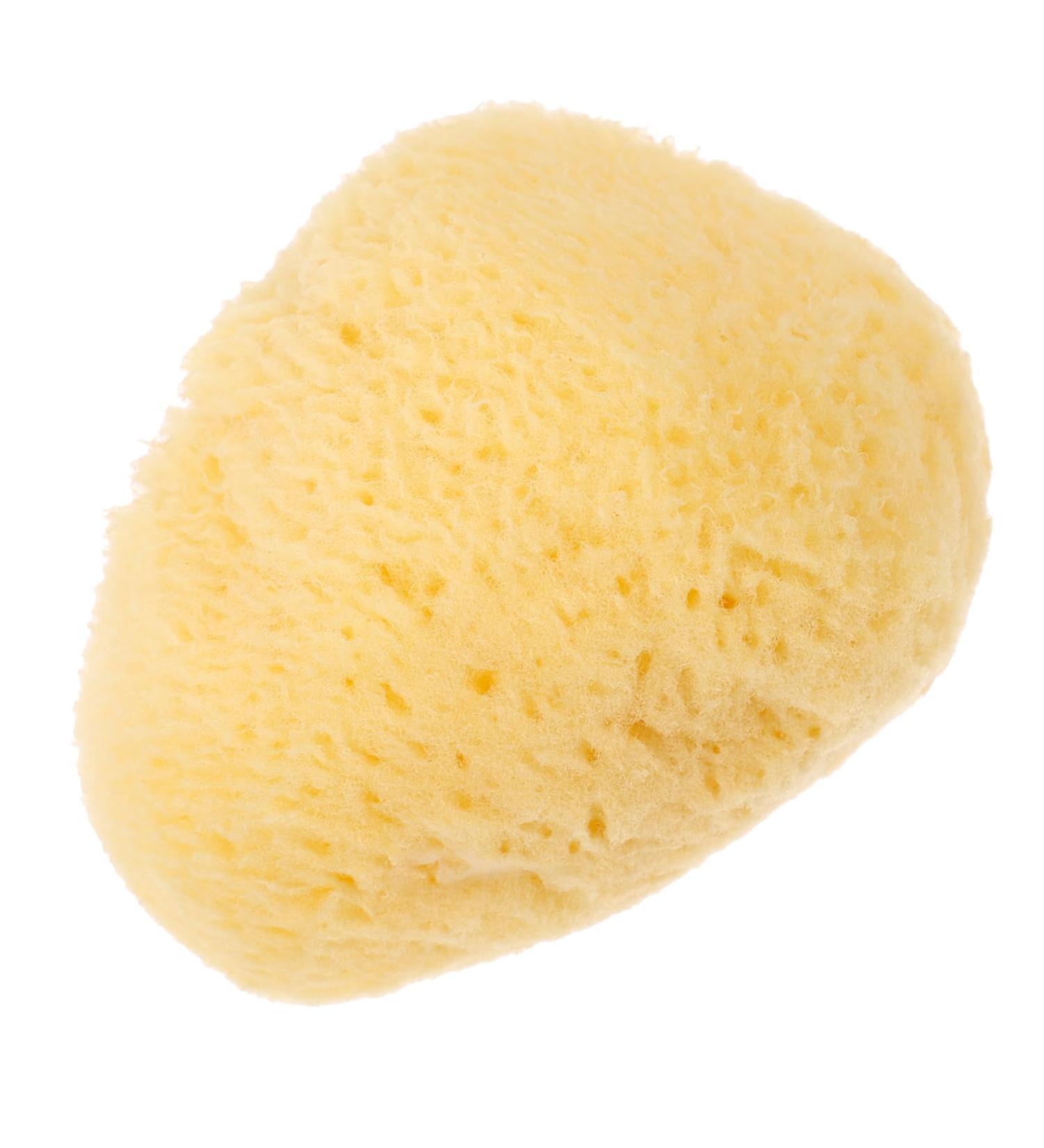 Gogogmee Natural Sponge Greece Facial Supplies Professional Facial Cleansing Sponge Sponges for Facials Facial Sponges Face Cleaning Pad Sponges for Face Cleansing Sponges Face Sponge - Buy Online on GoSupps.com