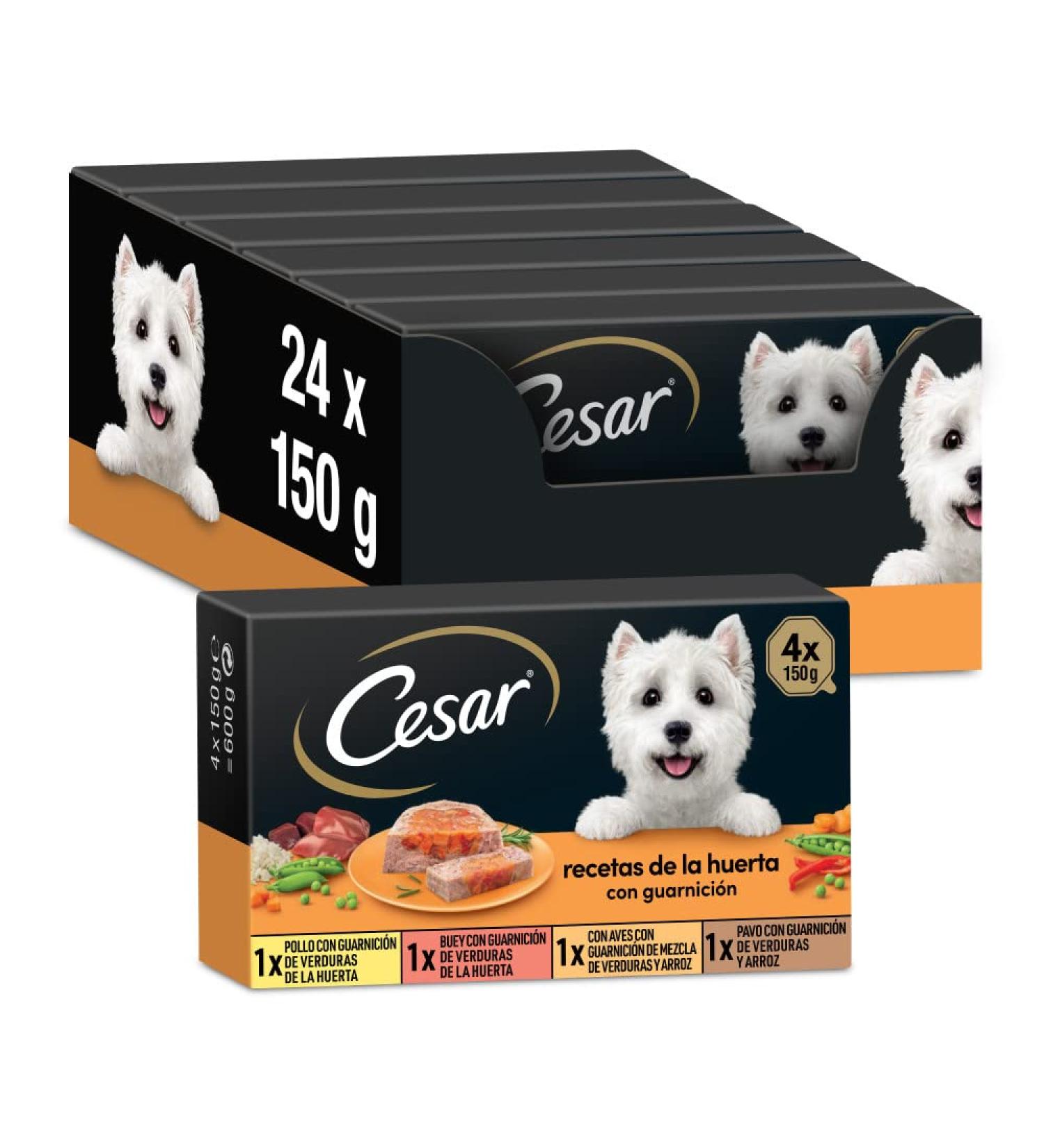 Cesar Wet Dog Food - Vegetable Garden Recipes in P t & Jelly 24-Pack (6 x 4 Cups 150g Each) - Premium International Shipping - Buy Online on GoSupps.com