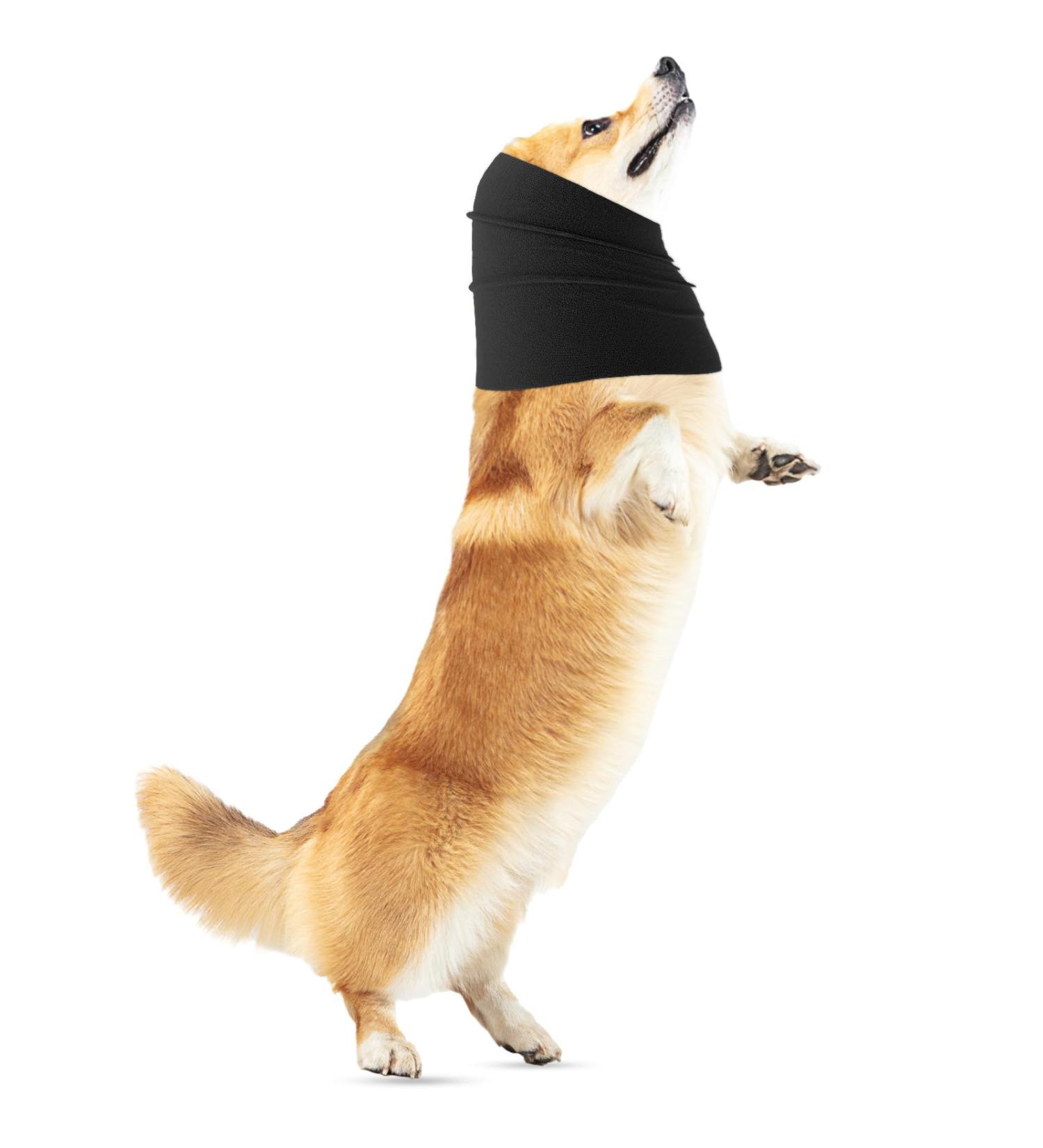 Amaxiu Dog Ear Warmers & Neckerchief | Cozy Black Earmuffs for Dogs | Comfortable Neck & Ear Cover for Pet Comfort (M) - Buy Online on GoSupps.com