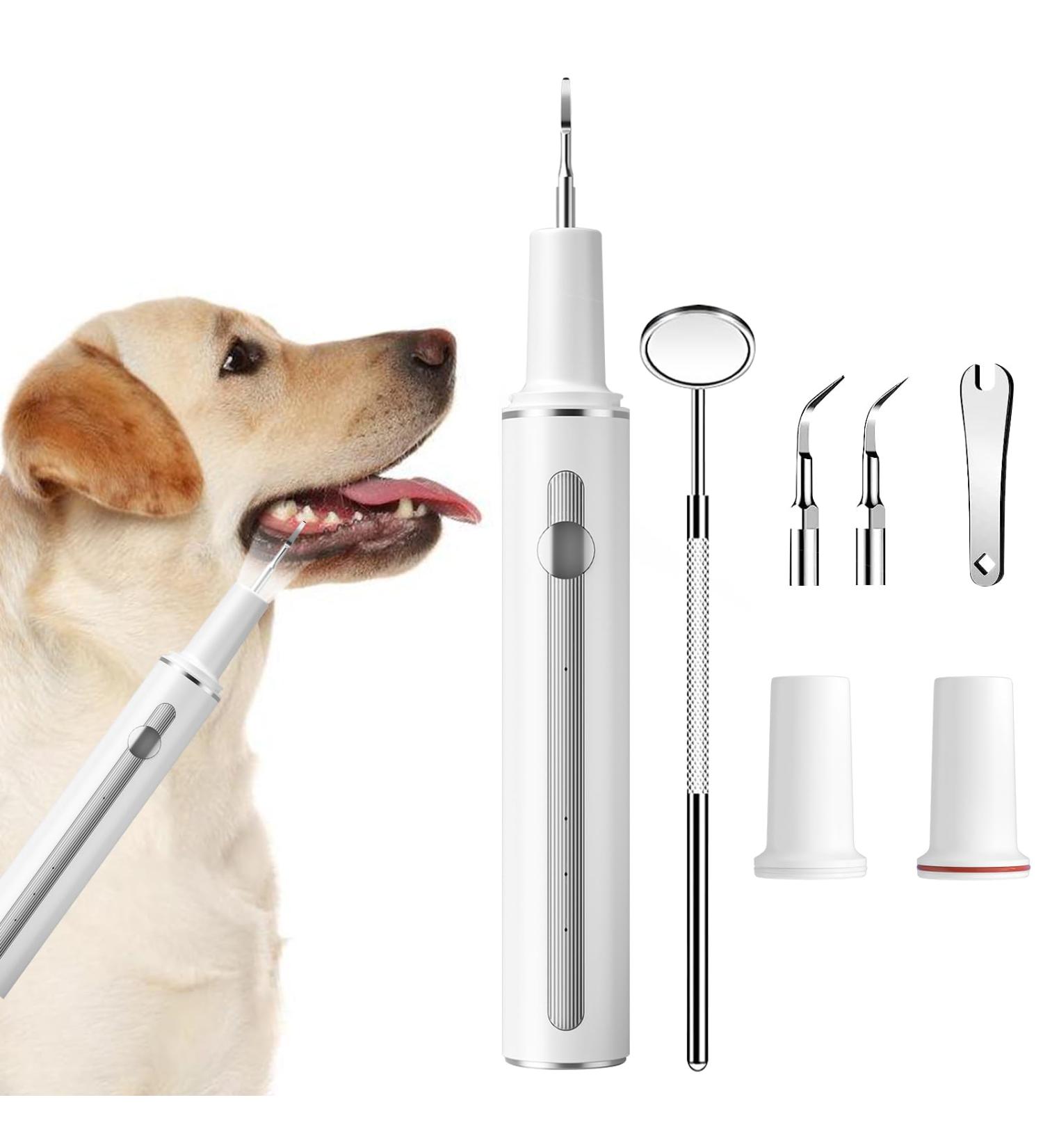 Ultrasonic Dog Teeth Cleaning Kit | Pet Toothbrush with 3 Modes and Lights for Dogs and Cats - Buy Online on GoSupps.com