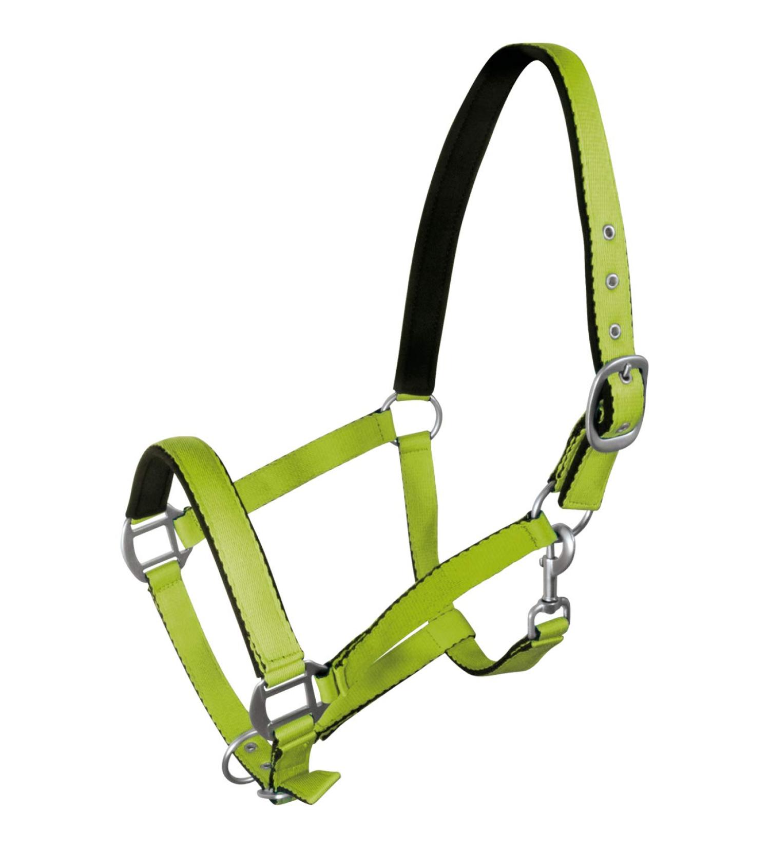 York Horse Halter Fluo soft padded stable halter pasture halter noseband (pony green) pony green