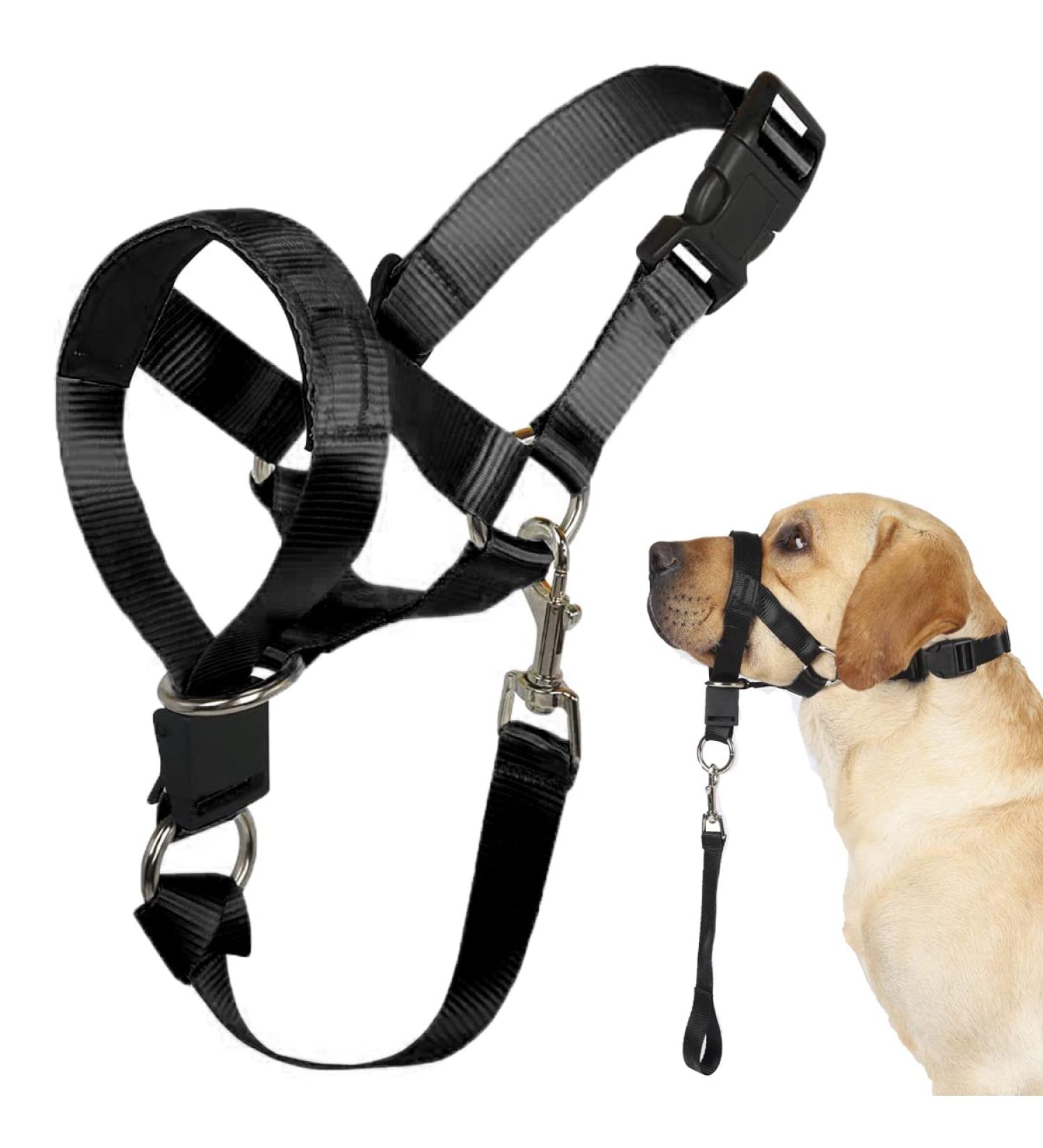 No Pull Dog Halter Training Tool - Soft Upholstery - XL Black - Includes Training Instructions - Buy Online on GoSupps.com