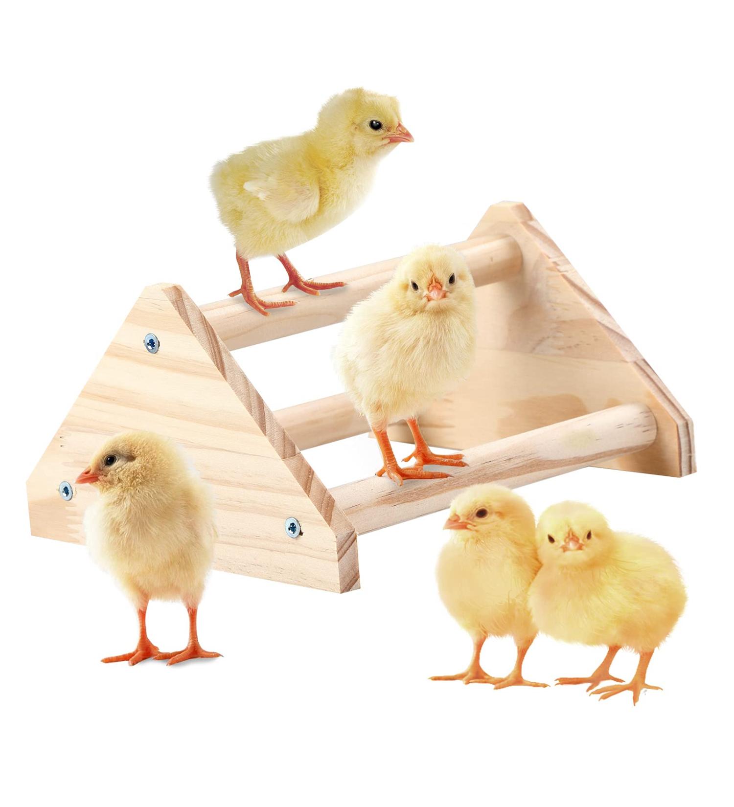 GINTUTO Pine Wooden Chick Jungle Gym Roosting Bar - Small Chicken Perch Toys for Coop and Brooder - Ideal for Large Bird Baby Chicks and Parrots - Buy Online on GoSupps.com