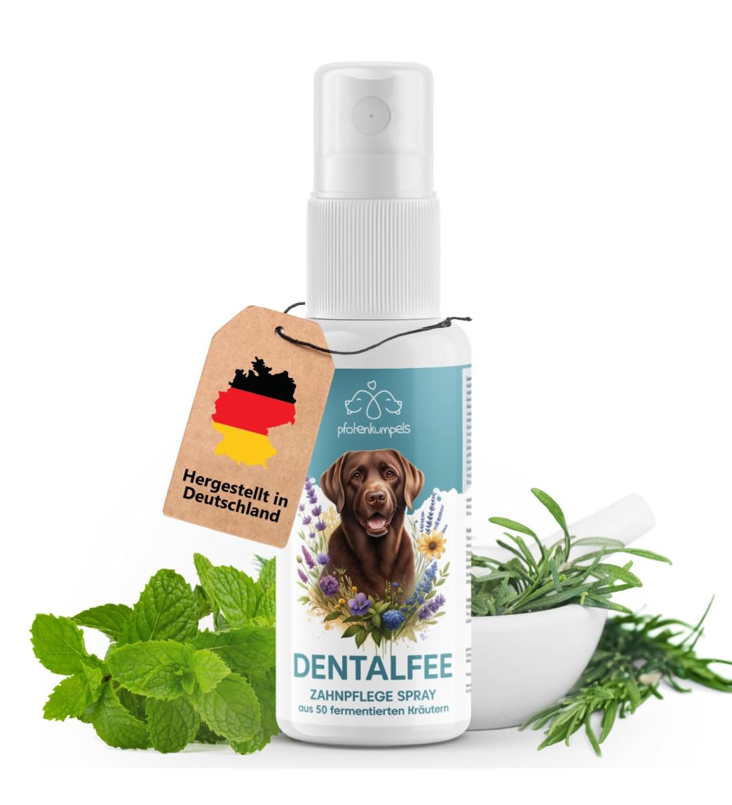 Pfot Buddies Dental Fairy Spray for Dogs & Cats - Natural Tartar Remover Fresh Breath & Dental Care - 100ml with 50 Fermented Herbs - Lasts Up to 9 Months - Buy Online on GoSupps.com