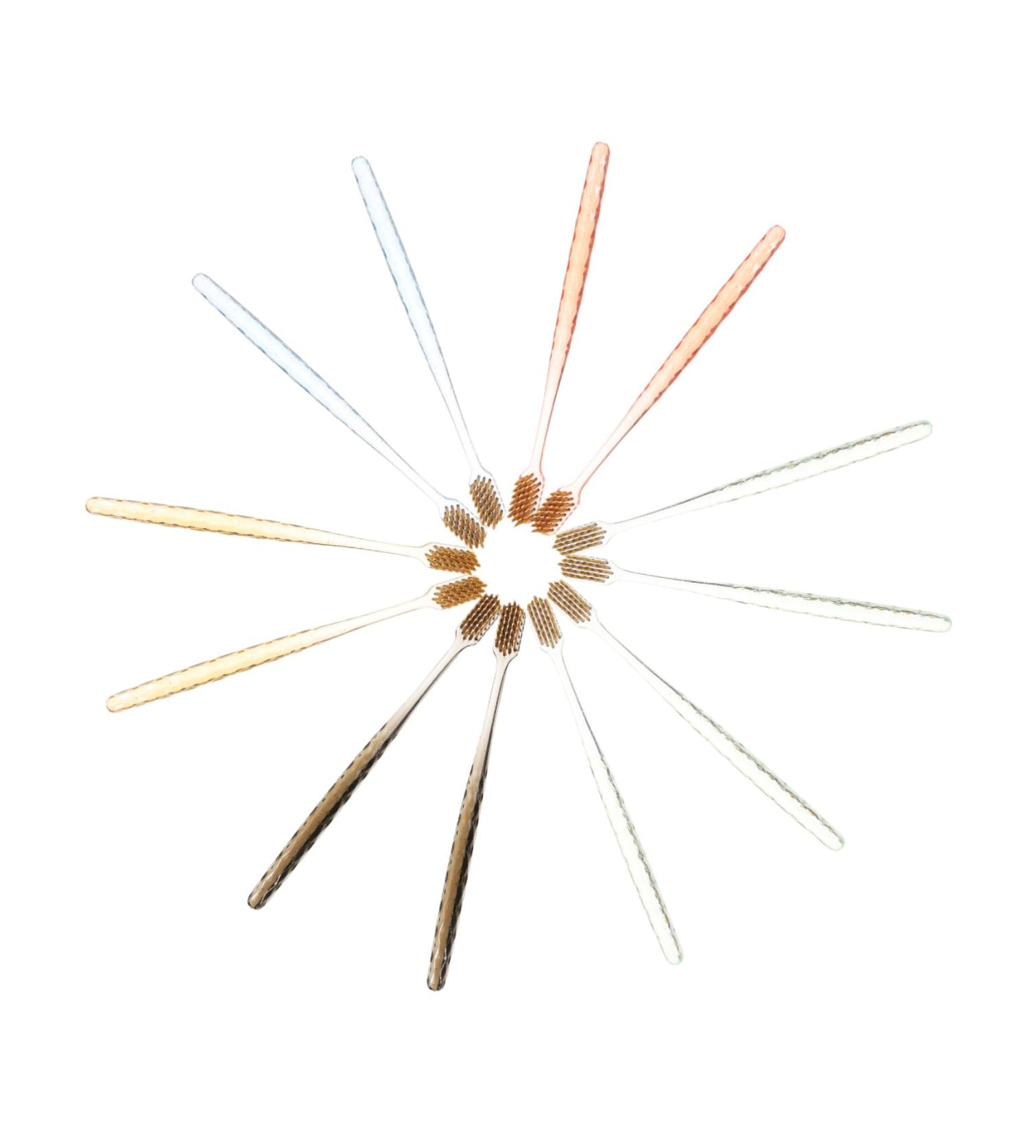 Beavorty 12-Pack Crystal Handle Toothbrushes for Gum & Implant Care | Light Wear-Resistant Oral Hygiene | Manual Crystal Brush Box - Buy Online on GoSupps.com