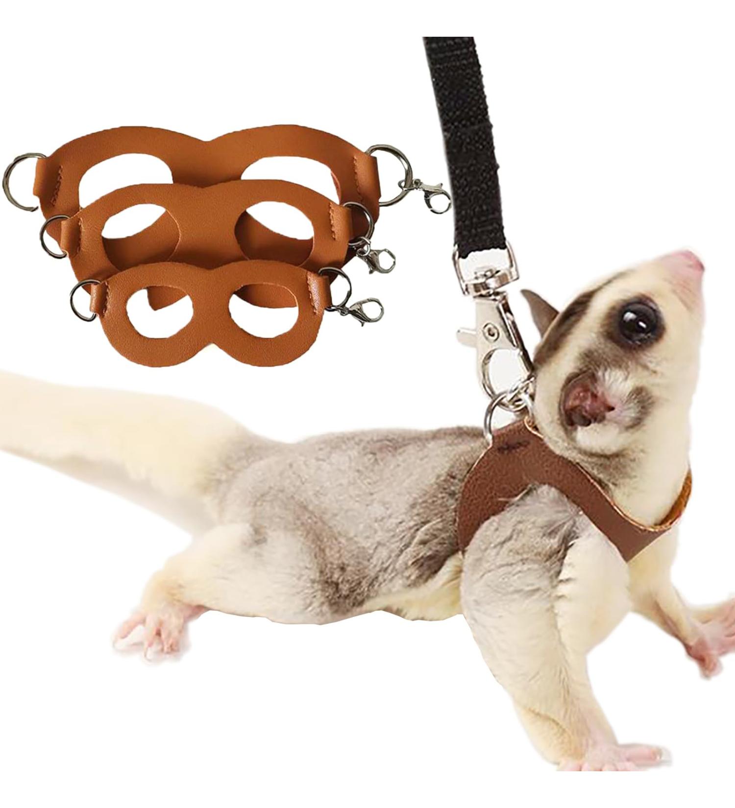 3 Pack Sugar Glider Harness and Lead Set Small Animal Training Walking Vest for Squirrel Hamster Rat (Brown) - Buy Online on GoSupps.com